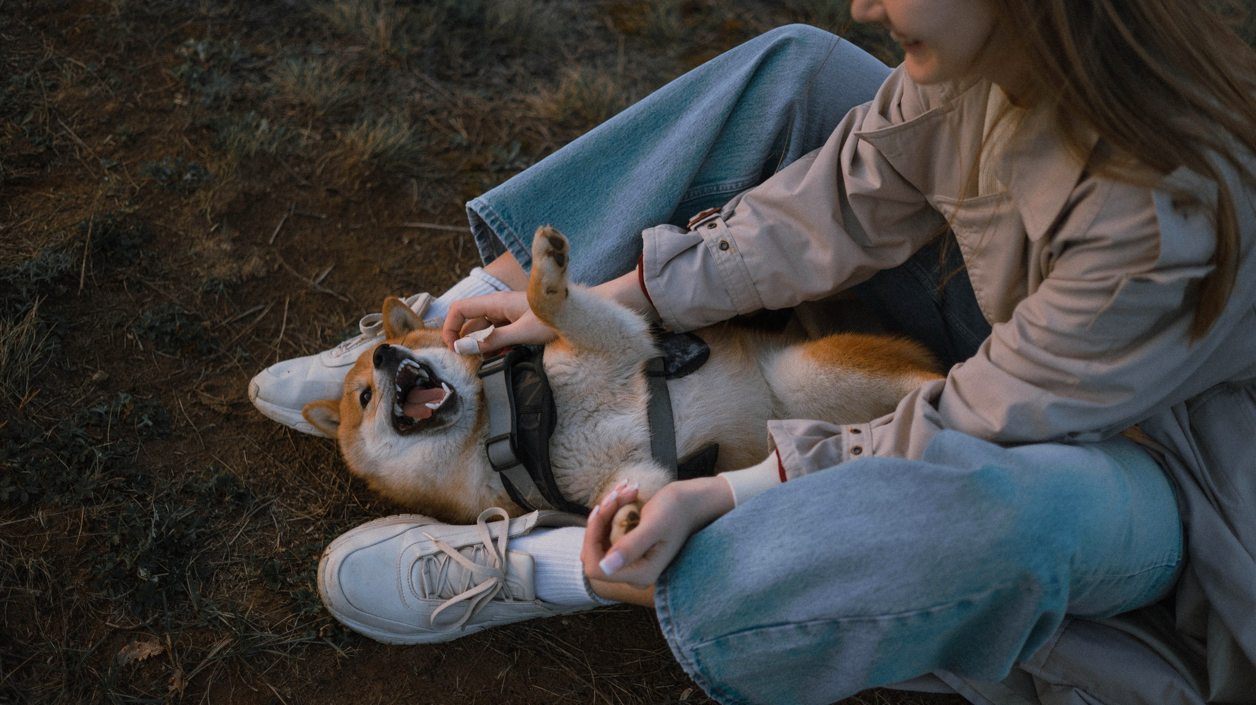Аня и Шани. Фотограф-анималист Богданова Полина