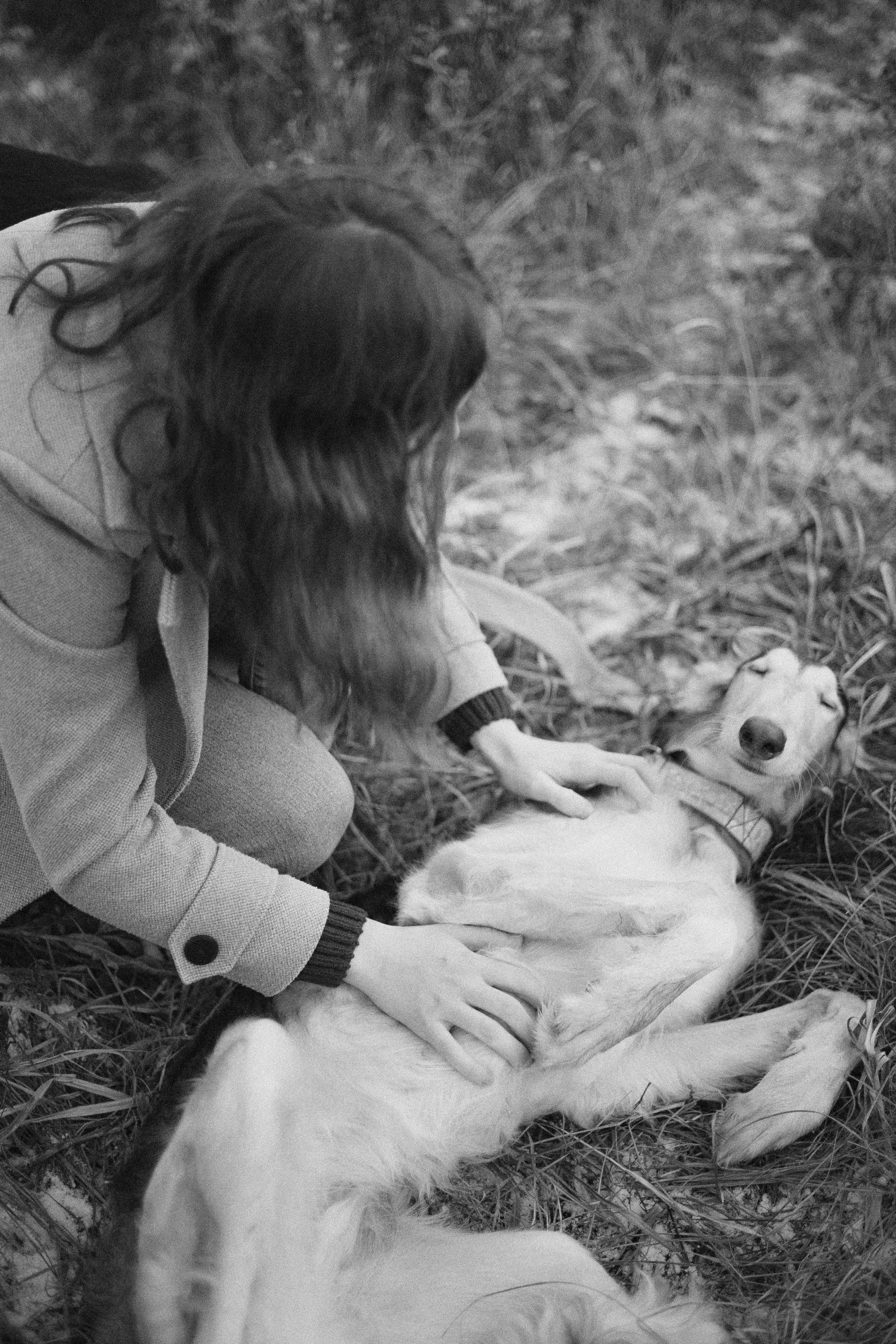 Алена, Леви и Микаса. Фотограф-анималист Богданова Полина