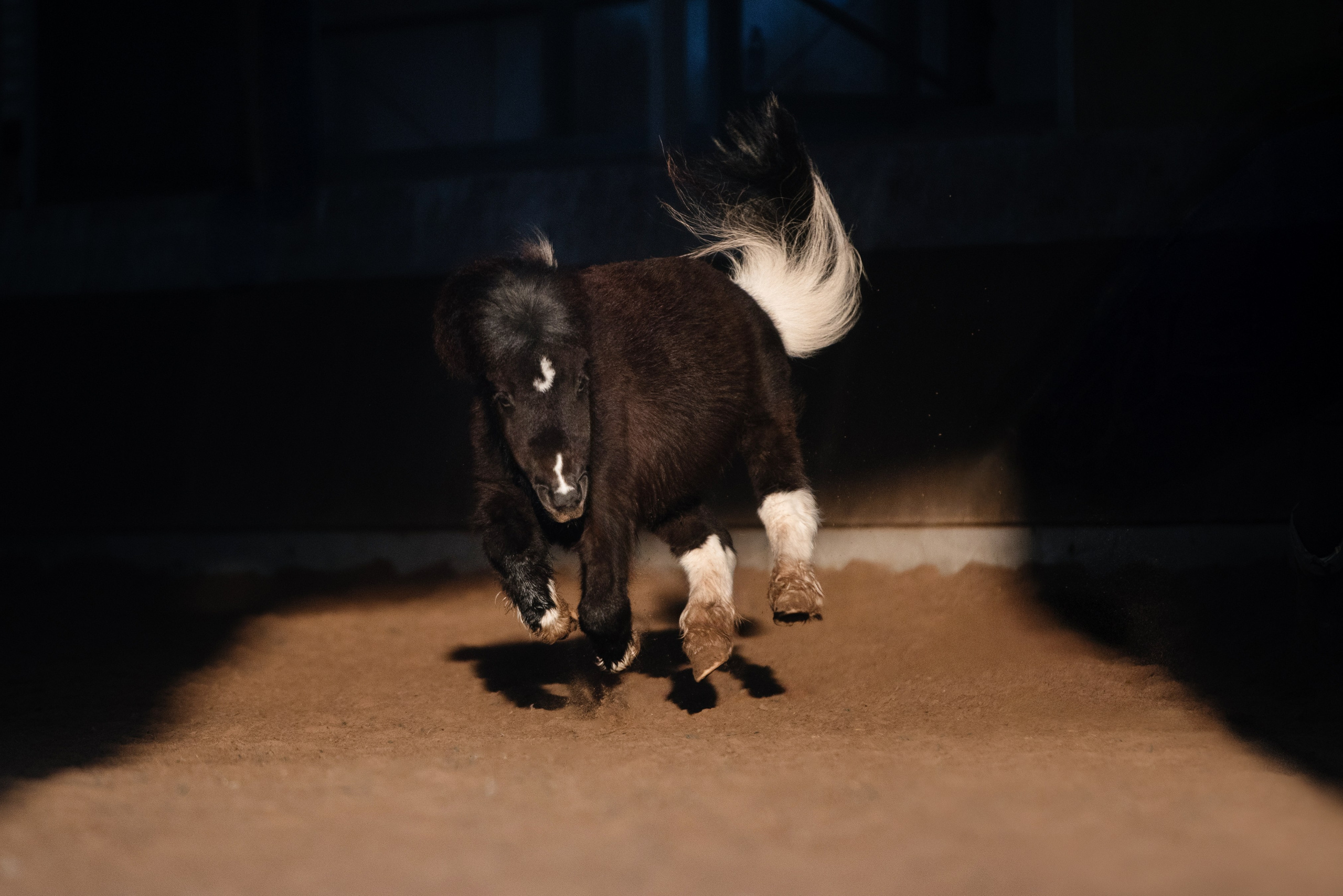 Кантри Клаб. Фотограф Анна Тюрина