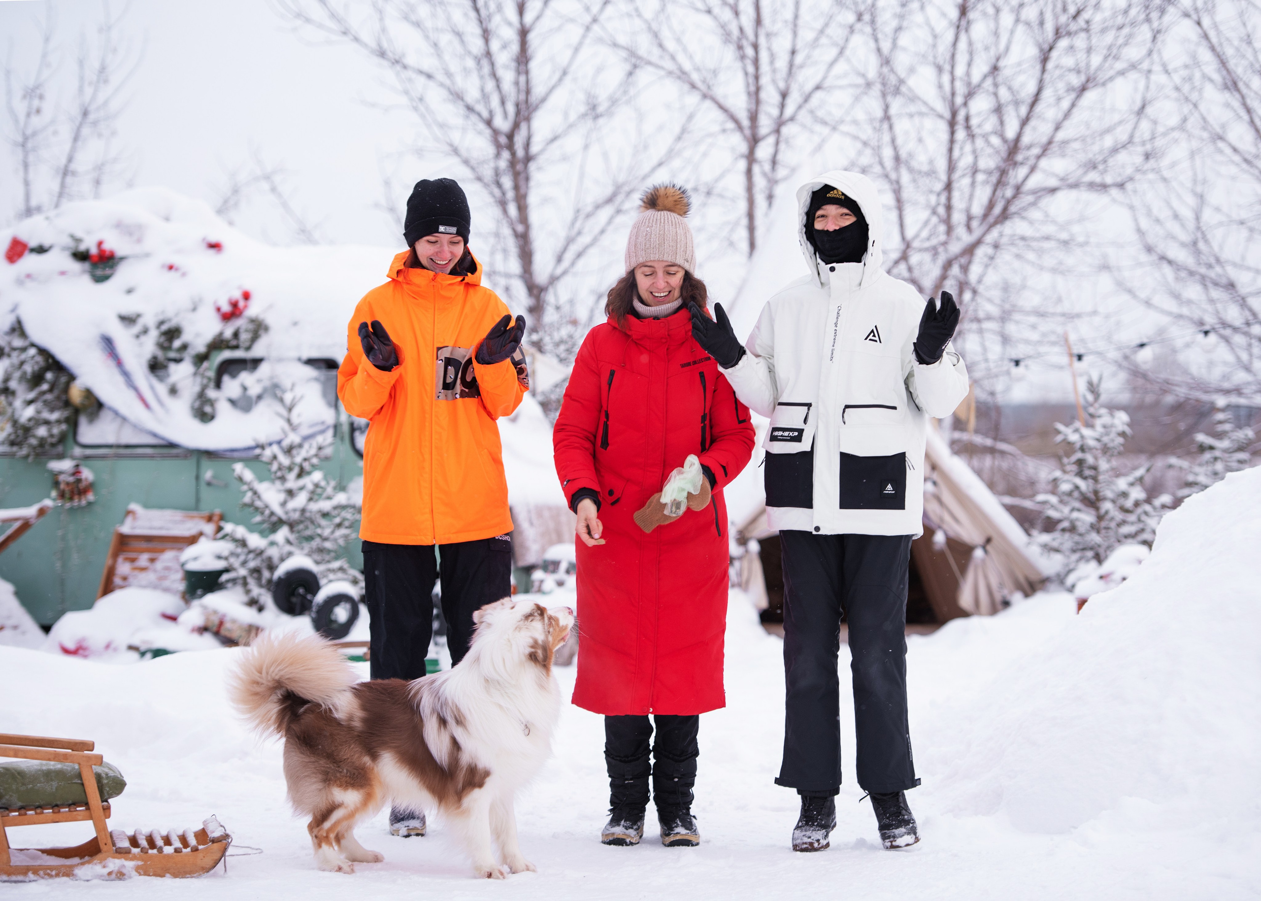 Аусси и его семья. Дог-фотограф в Тюмени Александра Королева