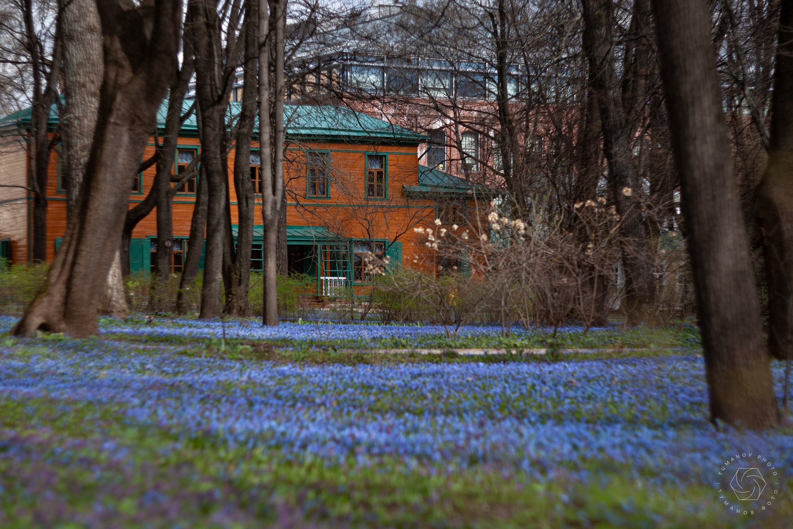 Усадьба Л. Н. Толстого в Хамовниках. Туманов Виталий — фотограф Москва