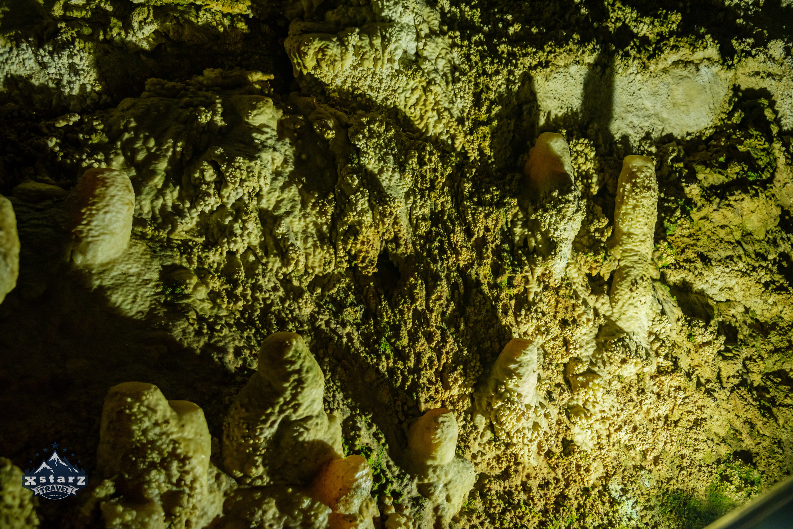 Тур в Абхазию. Фотограф Галина Нестерова