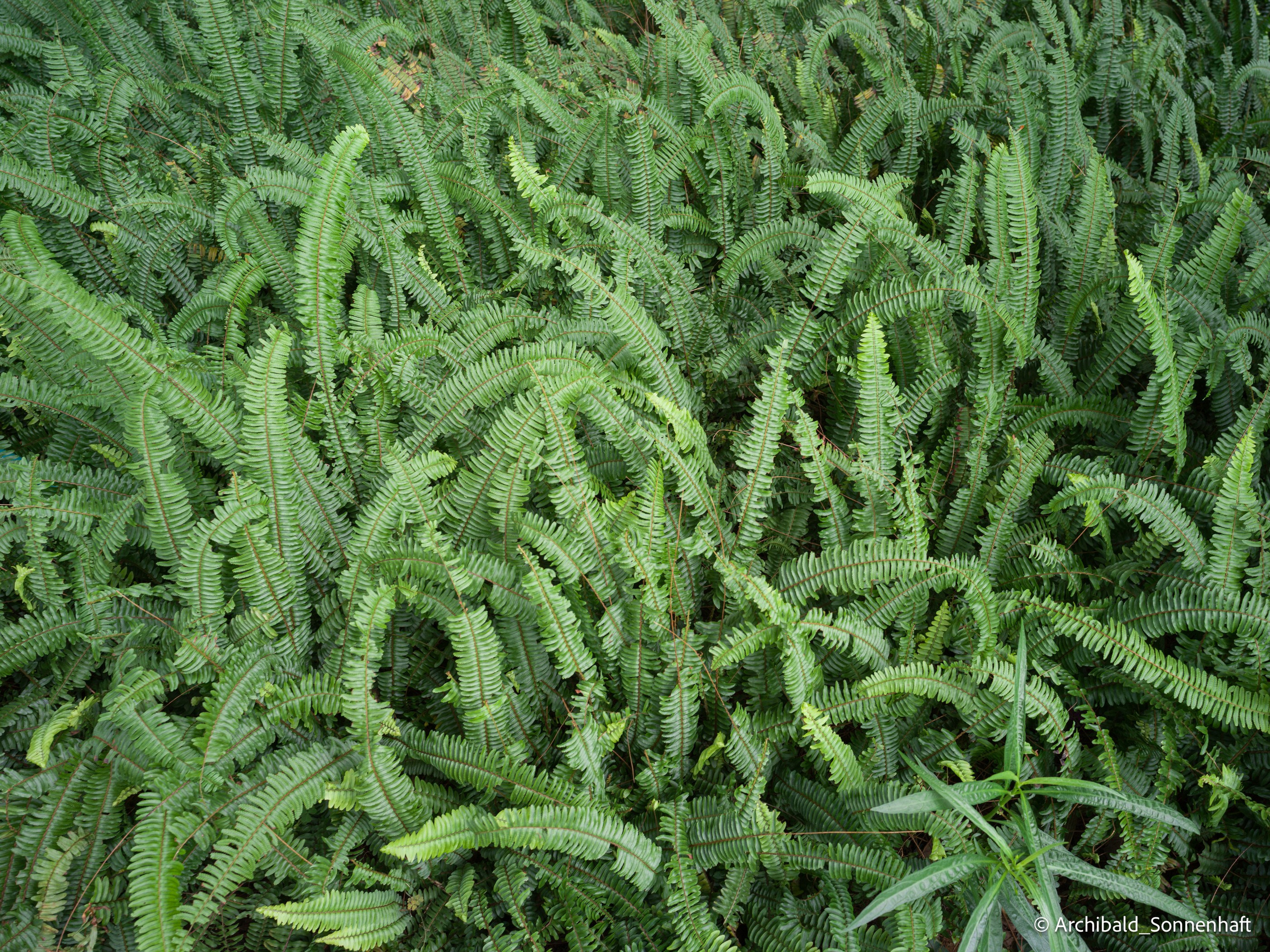 Office environs. Photographer in Guangzhou, China. Archibald Sonnenhaft