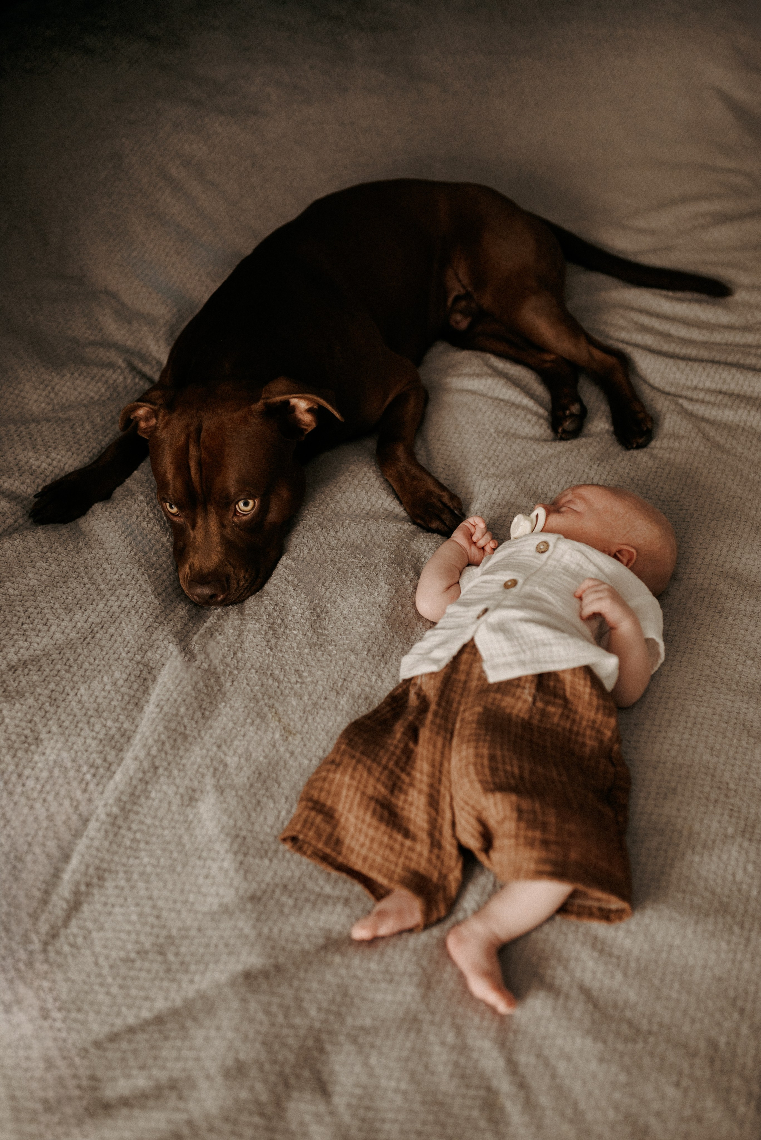 Я родился! ♥  Фотосессия новорожденного дома. Семейный фотограф ЕЛЕНА ШАФИГУЛИНА