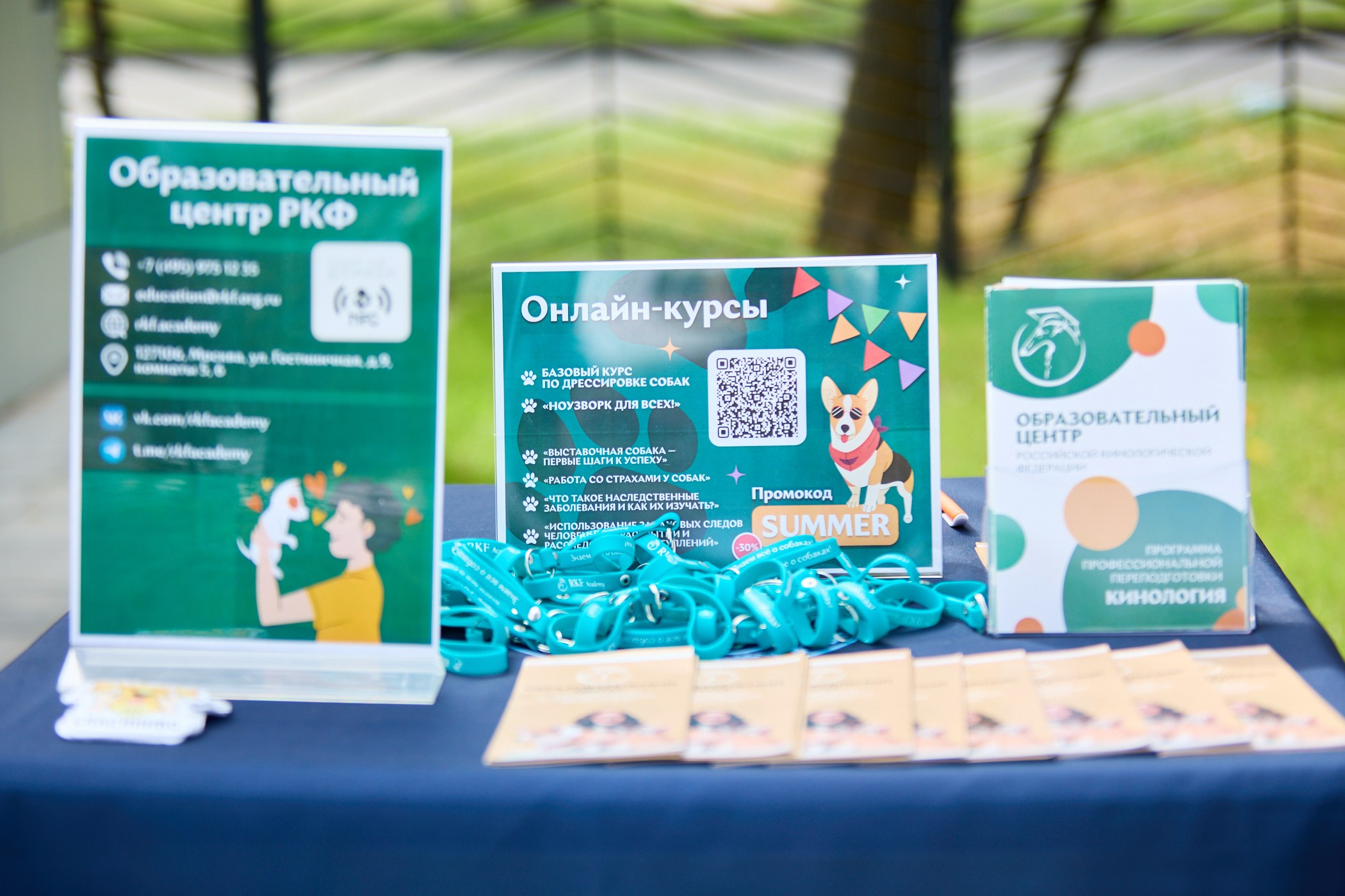 Инклюзивный фестиваль «Три шага к победе». Фотограф Ирина Астор