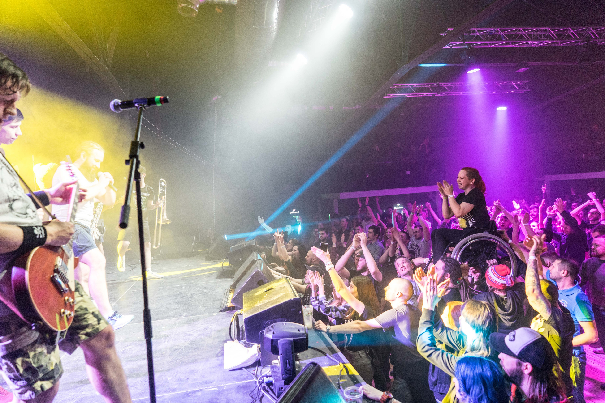 Distamper. Твой фотограф — Полосатый кот