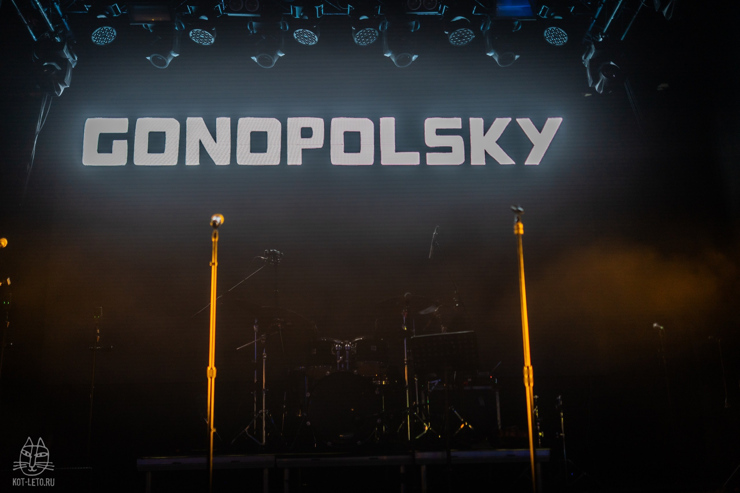 Gonopolsky 2026. Твой фотограф — Полосатый кот