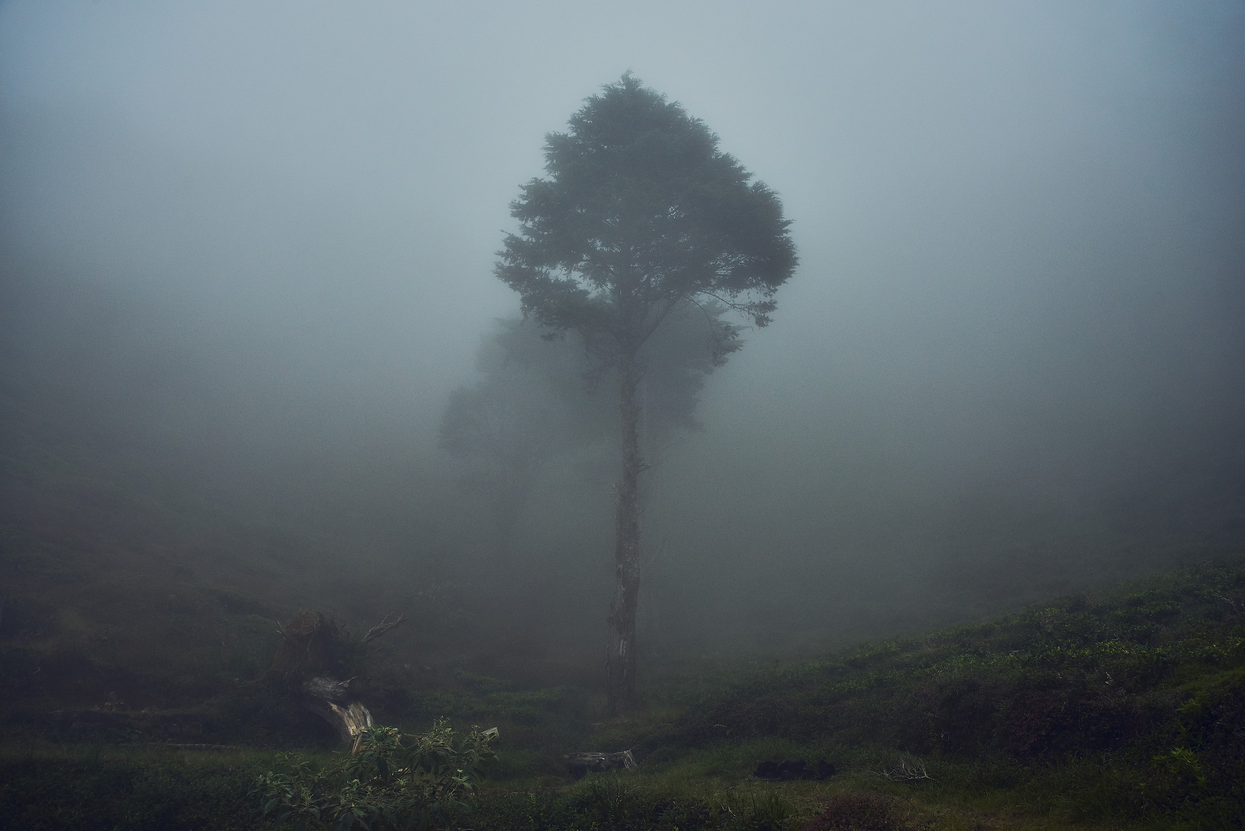 Пейзажи. Никита Хохловский фото и видео продакшн