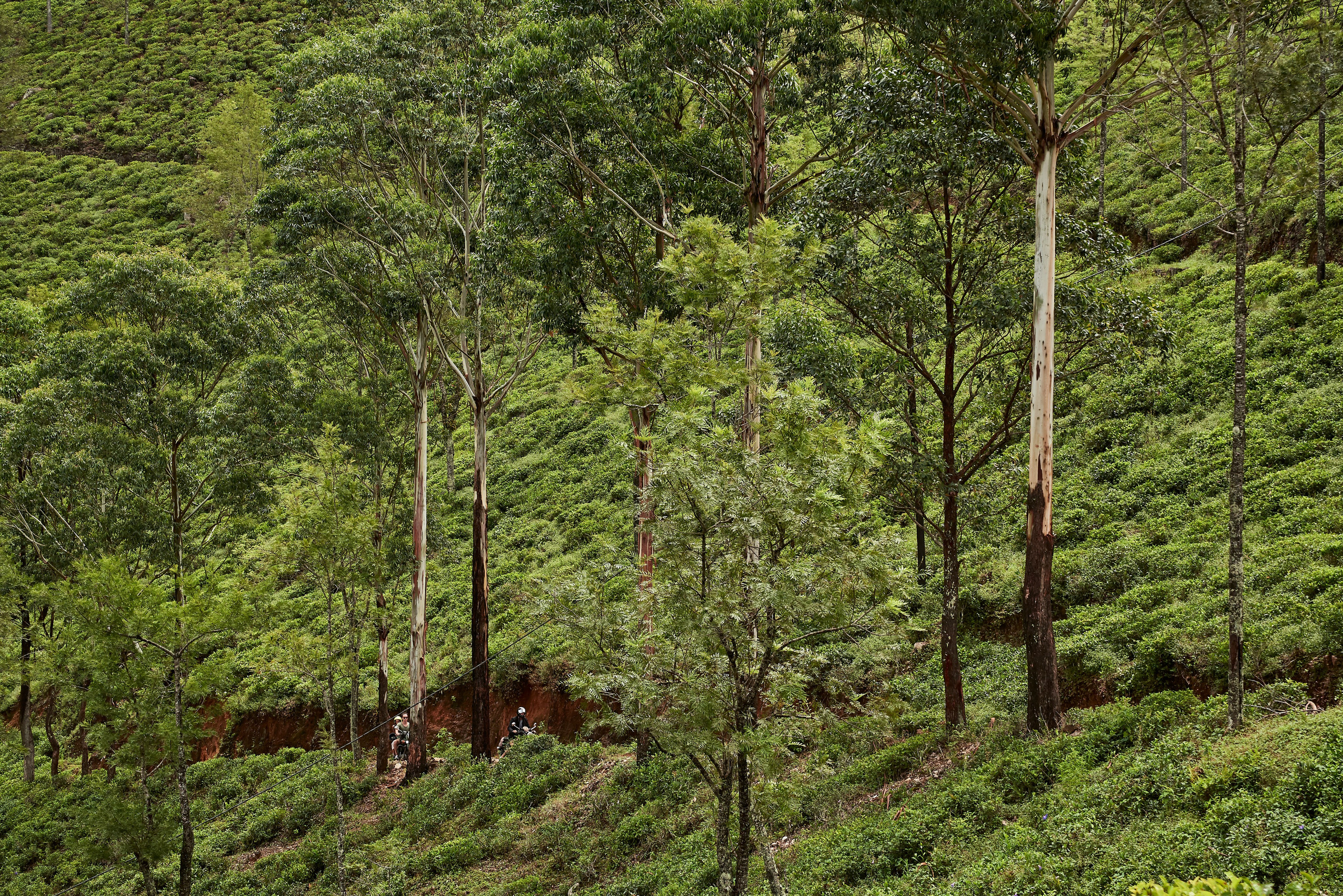 Moto Trip 23-05-19. Никита Хохловский фото и видео продакшн