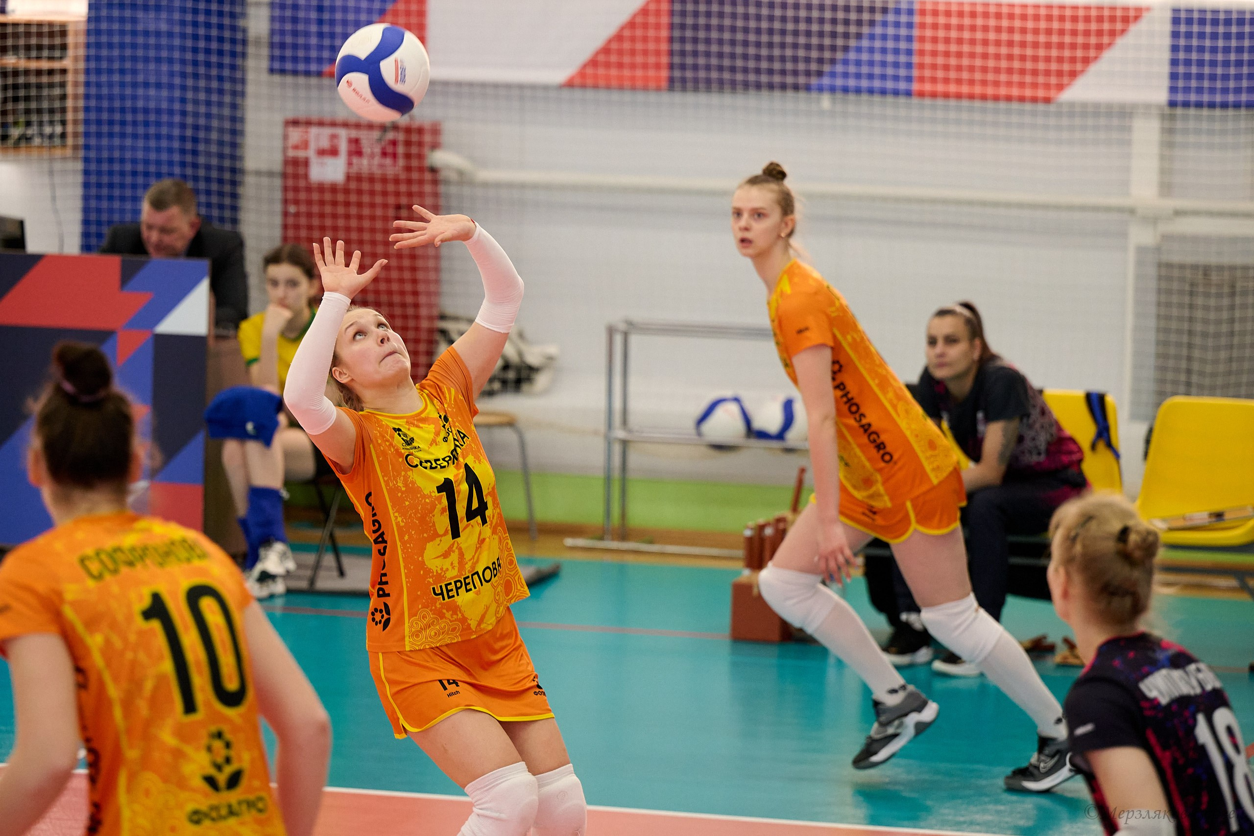 Волейбол Чемпионат России высшая лига «Б» Северянка-2 — Красные Крылья. Спортивный репортажный фотограф в Ижевске Сергей Мерзляков