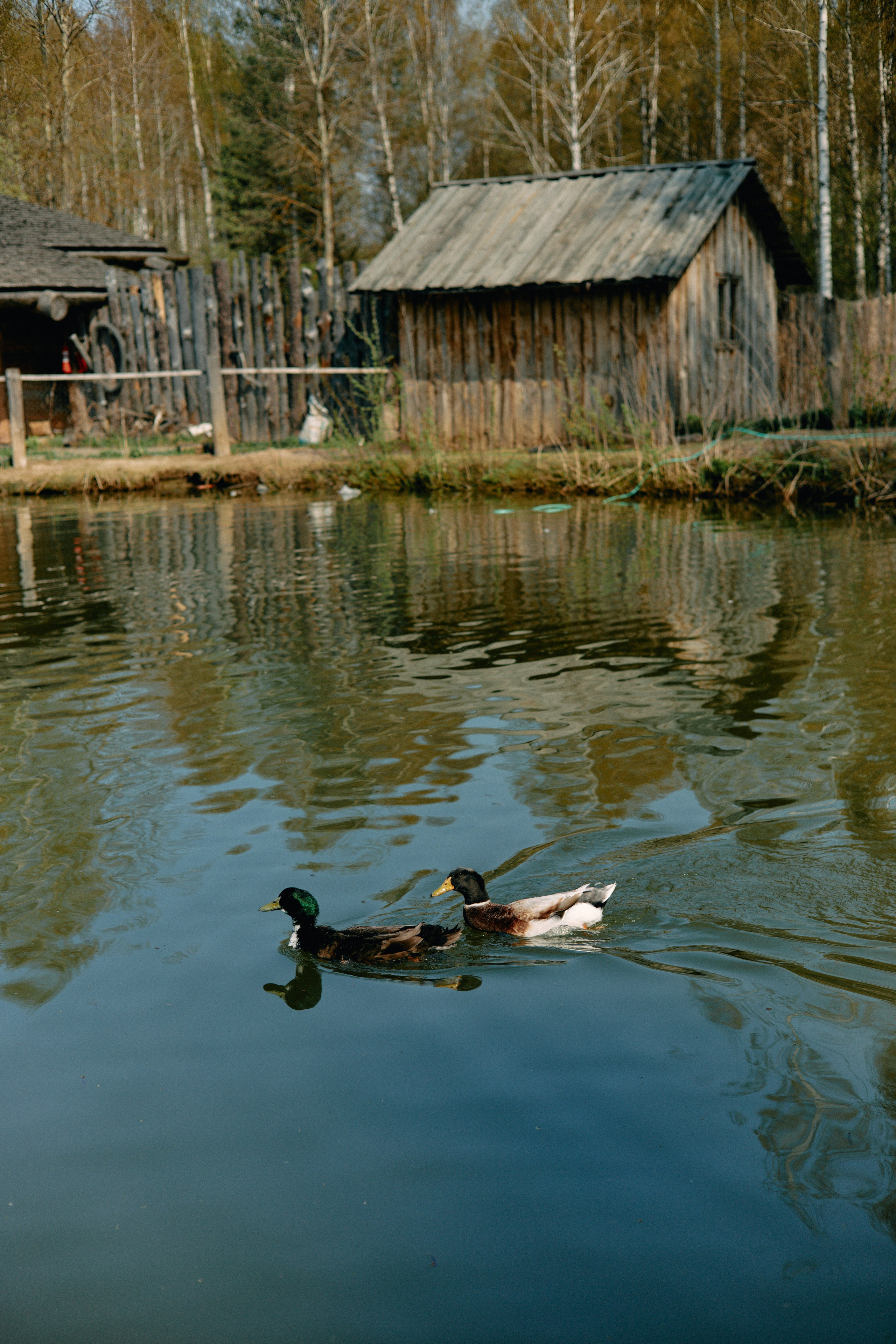 Бутик-отель Поле летом. Профессиональный Фотограф во Владимире, в Москве и в Суздале — Полина Романычева