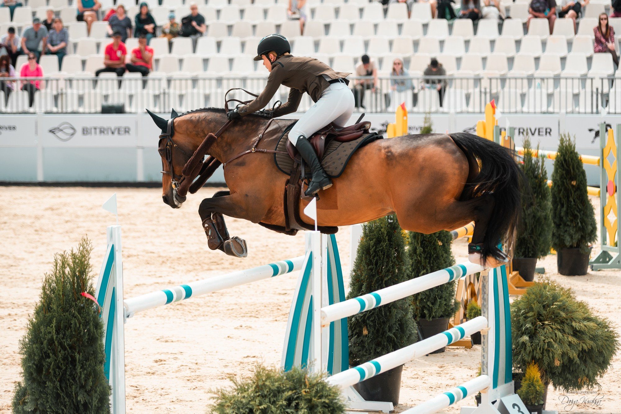 BITRIVER CUP 2023. Конный фотограф Куракина Дарья • Фотосессии с лошадьми