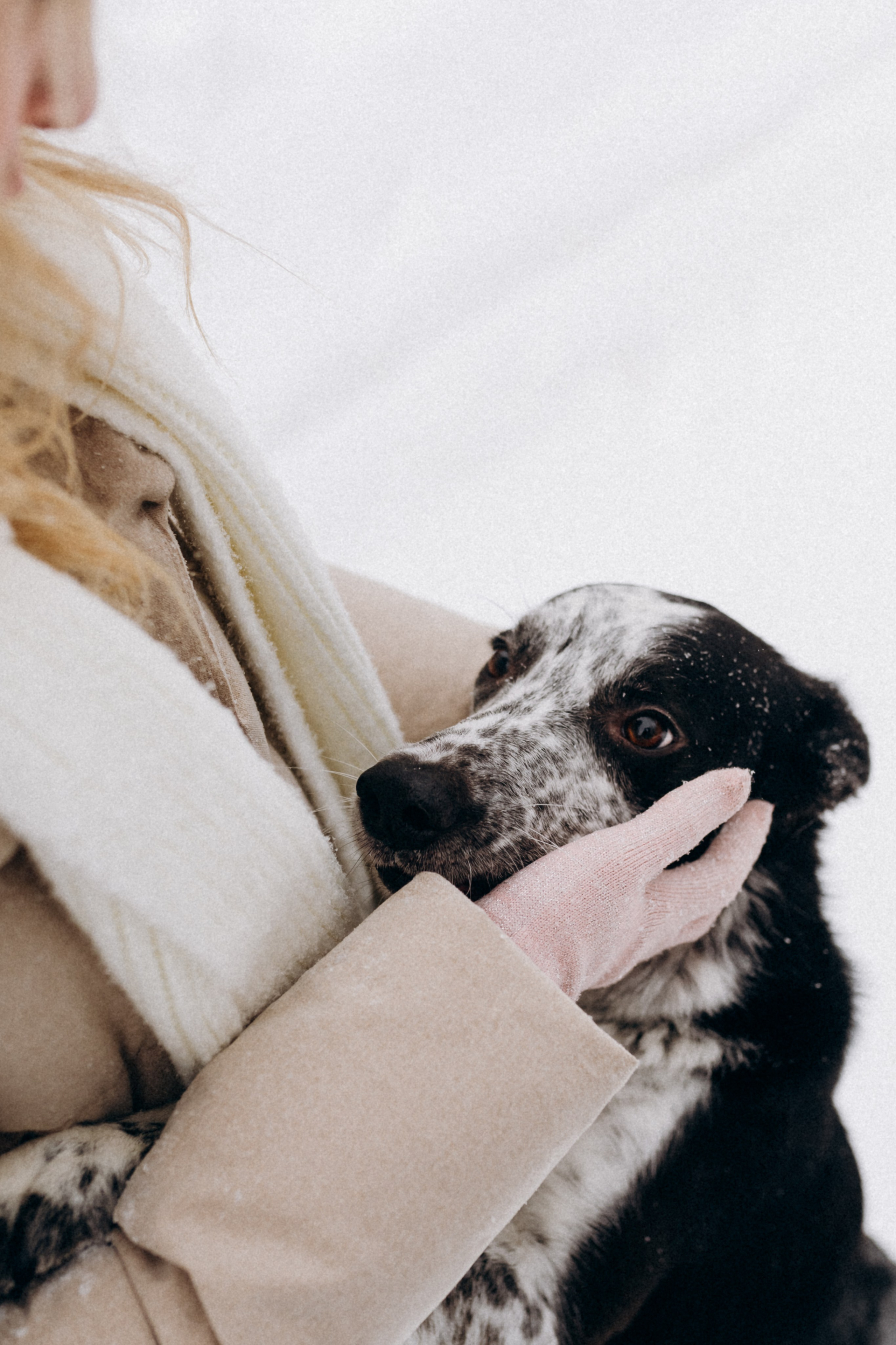 Аня и Милан. Фотограф анималист в Москве Ольга Агушева