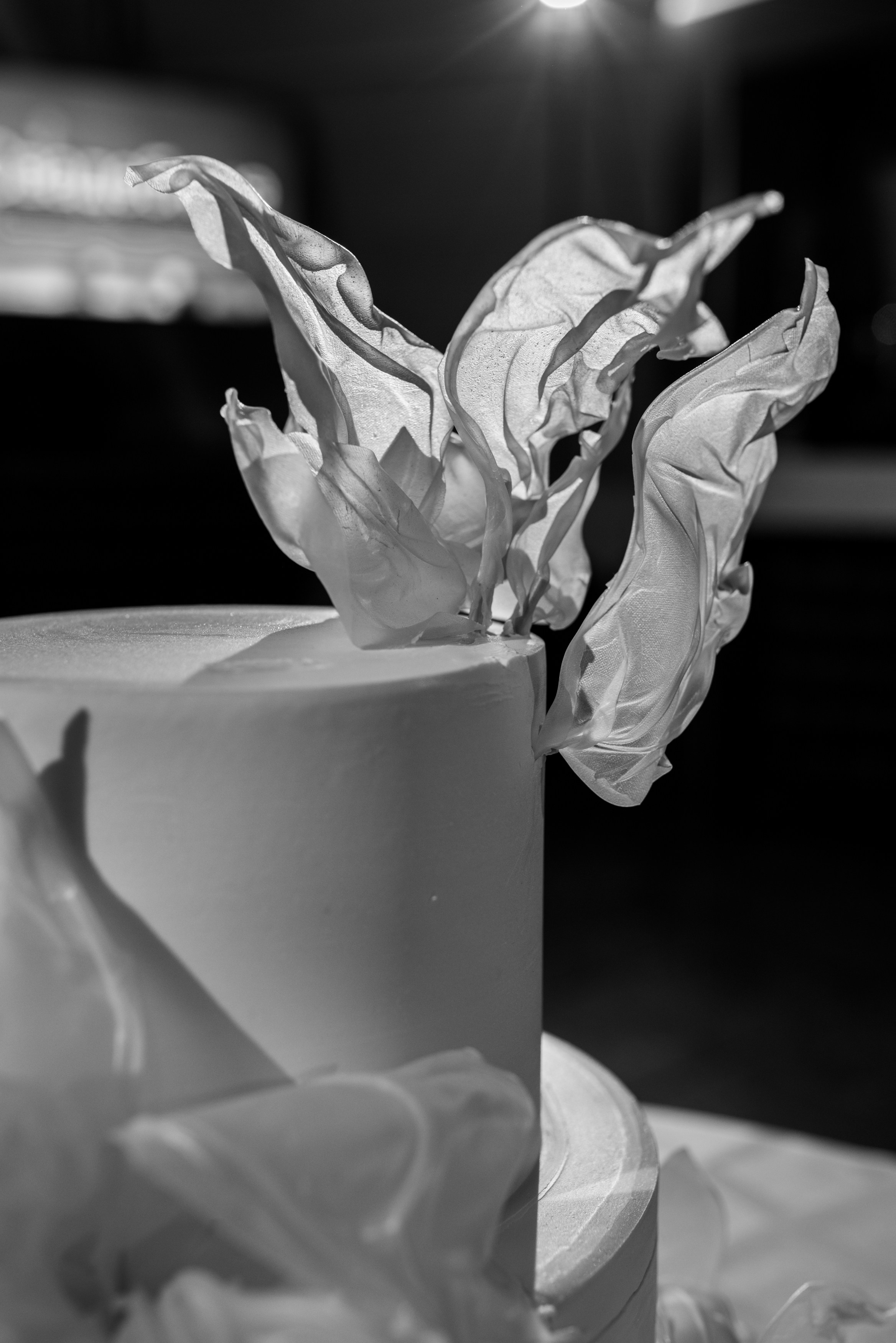 Wedding day. Главная