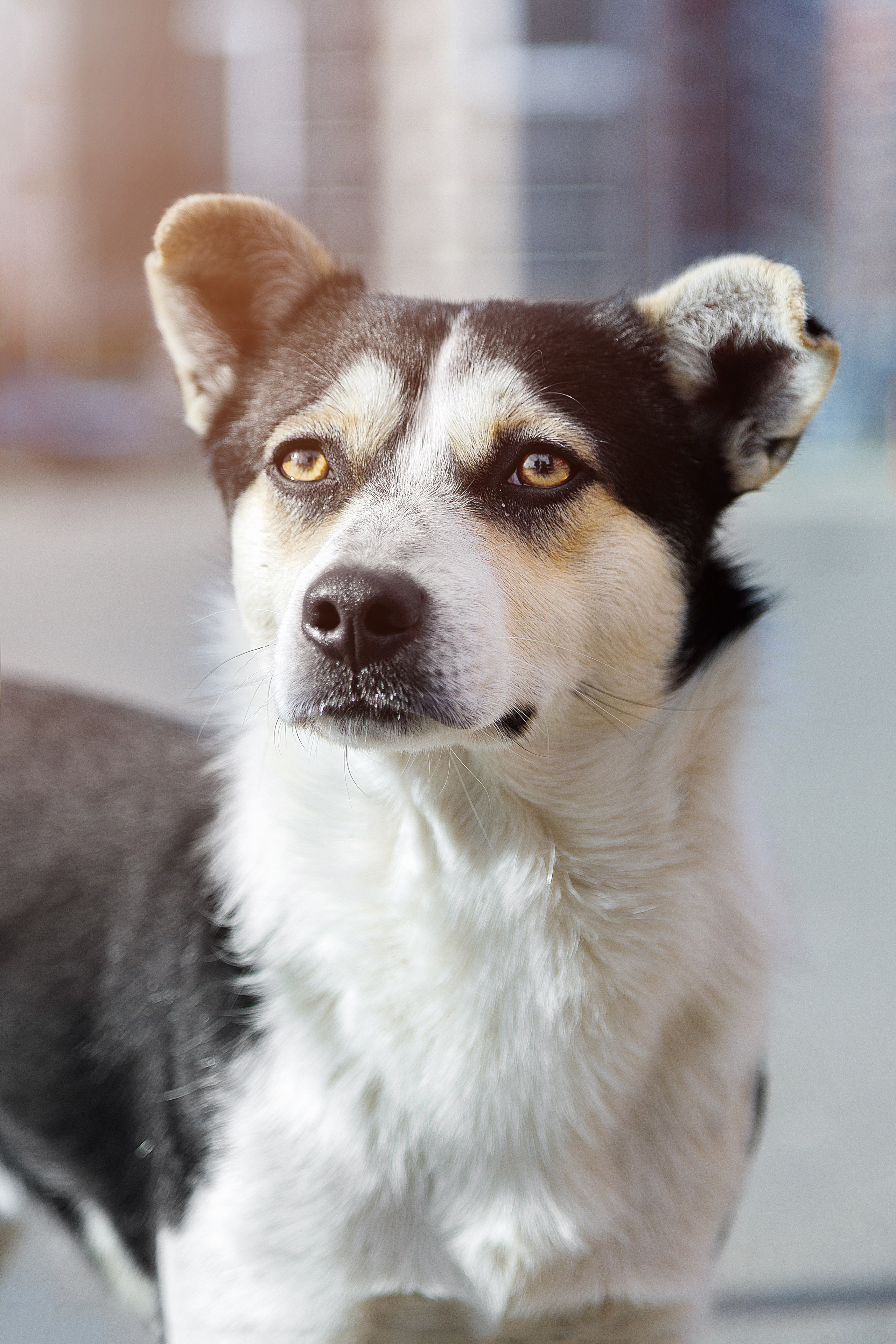 Проект «366»|2024|Фото каждый день. LENA GRACE photographer ||ЛЕНА ГРЭЙС фотограф