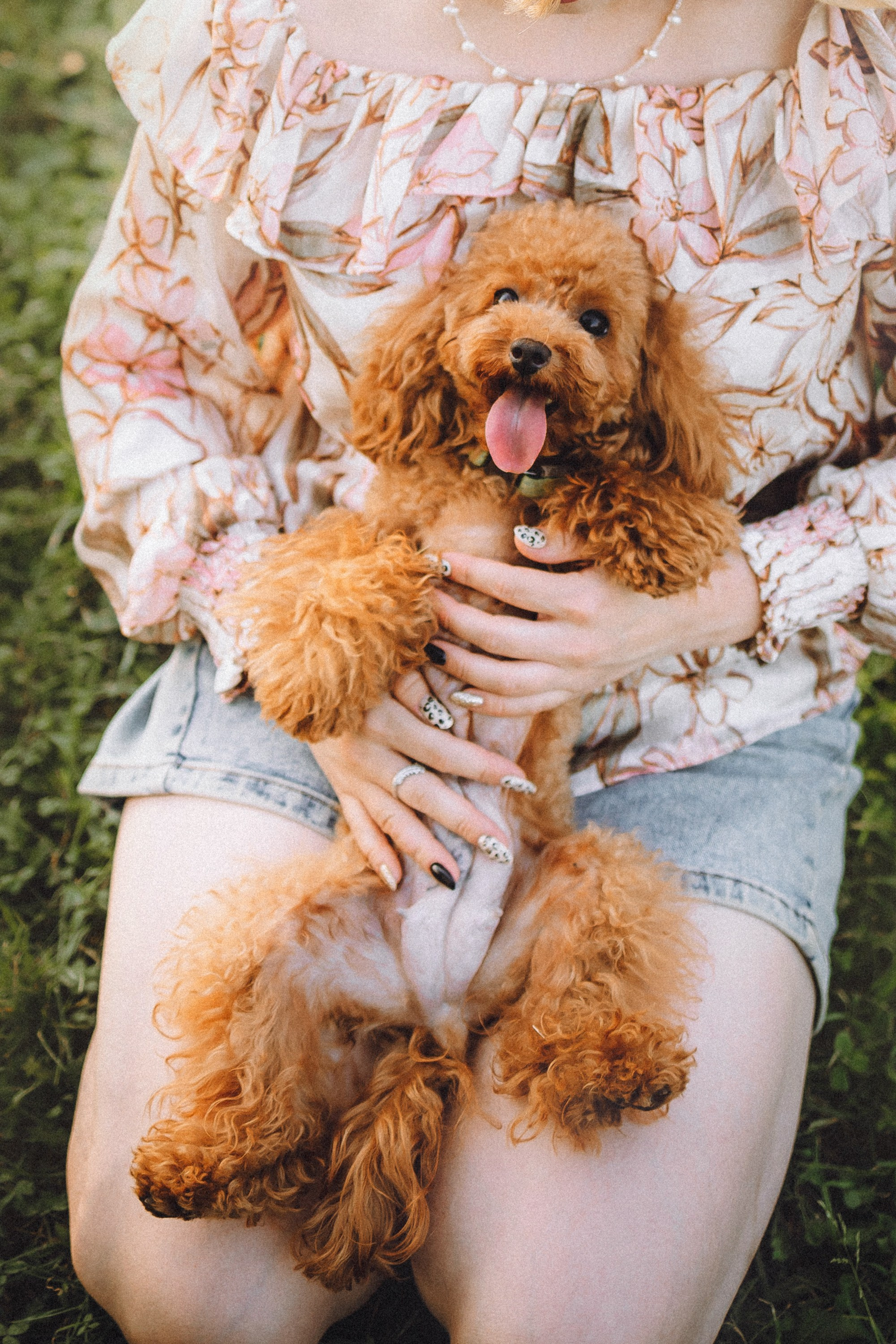 Гречка, Кари и щенки