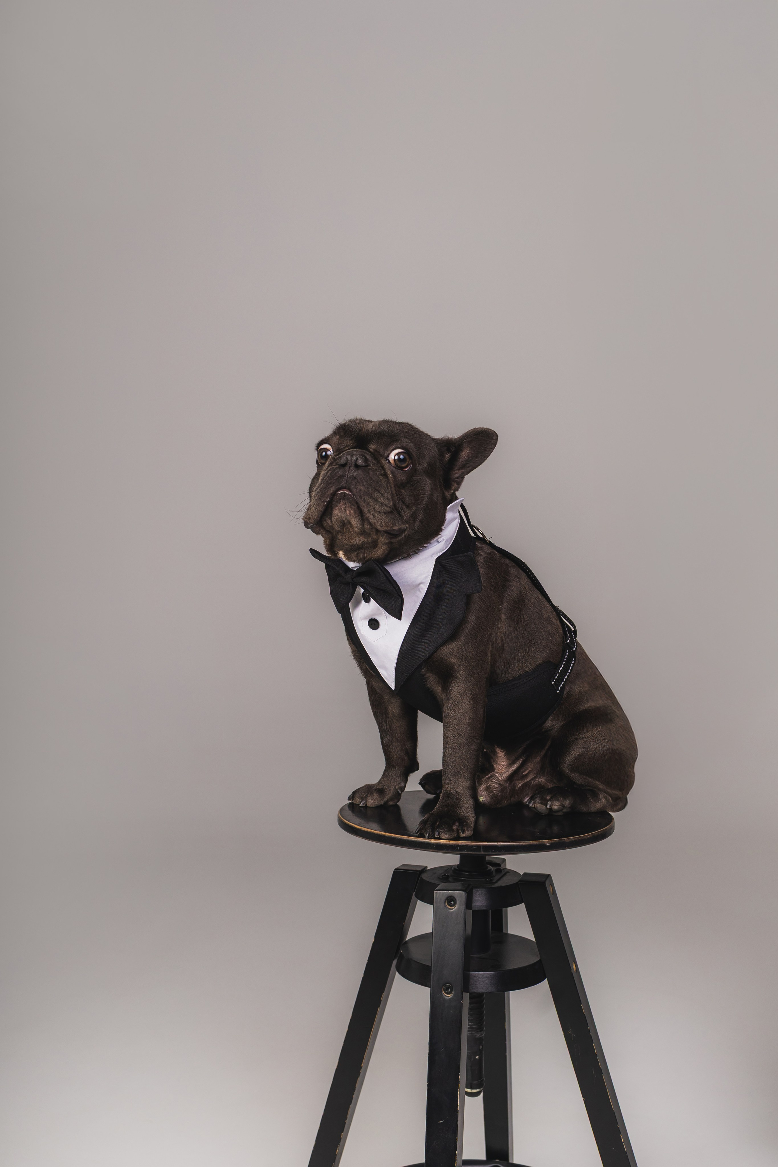 Кристина и Счастье