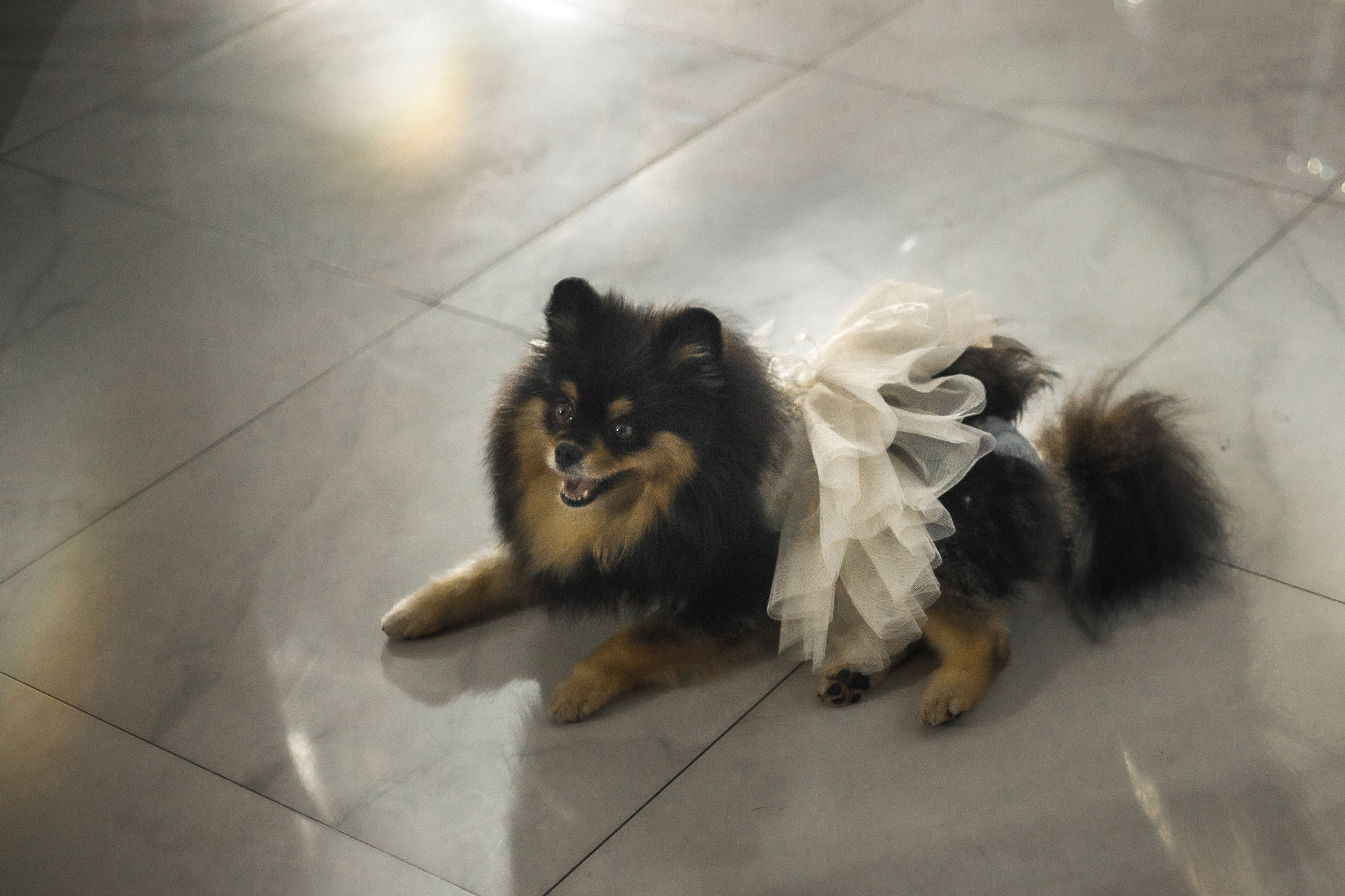 A|T. Свадебный и семейный фотограф в Саратове Анжела Борисова