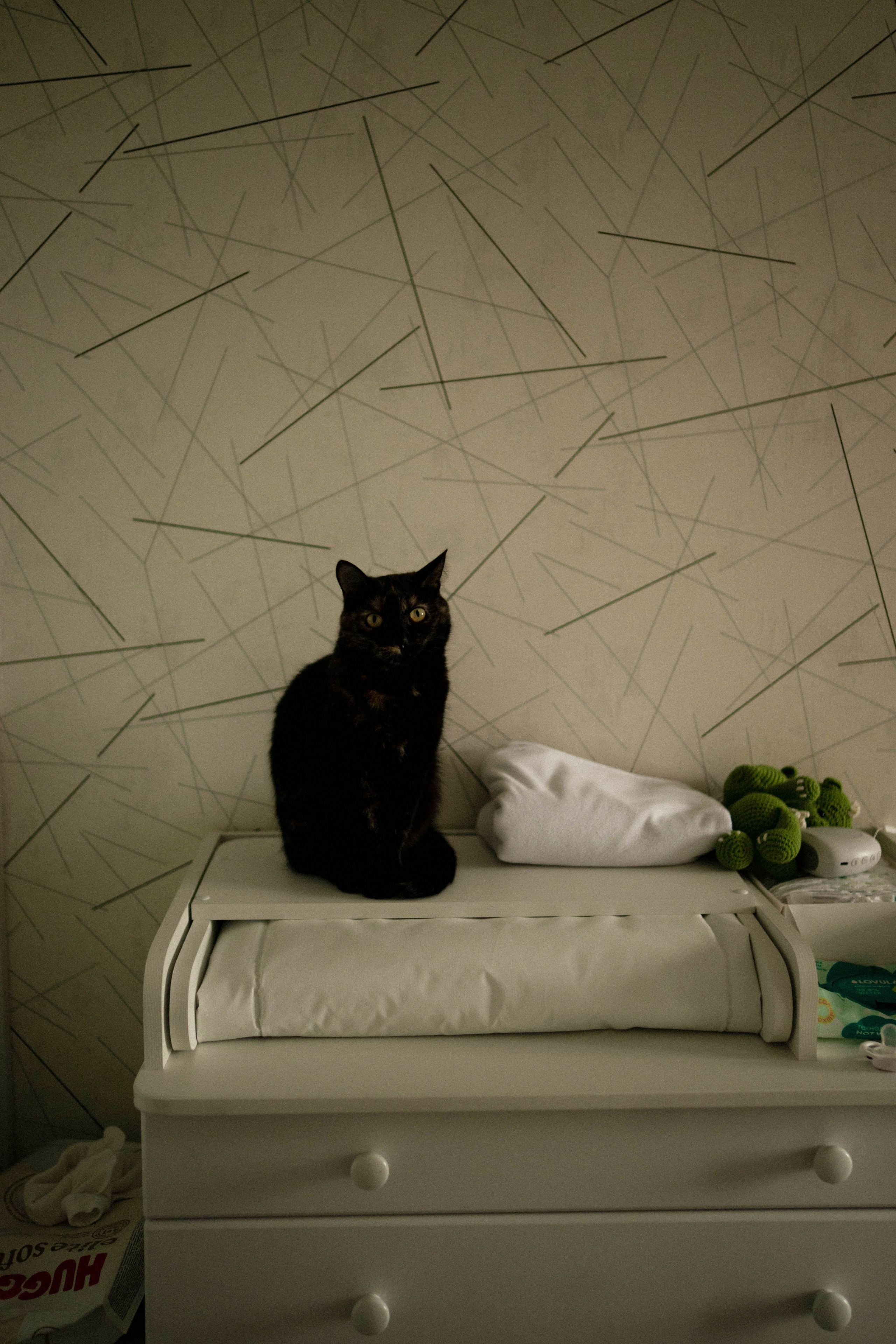 Артем, Алина и Илюша (домашняя съемка). Фотограф в Иркутске