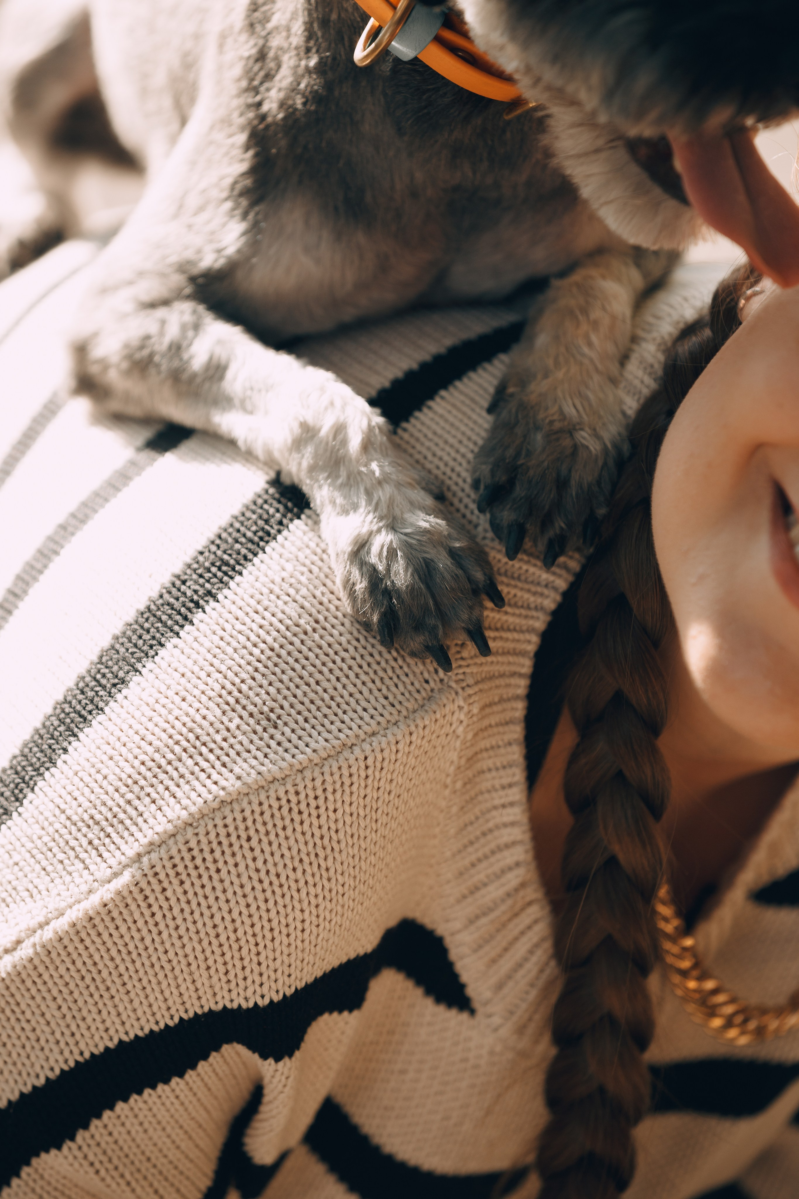 Оля и компания. Фотограф анималист Кристина Карпова, Москва