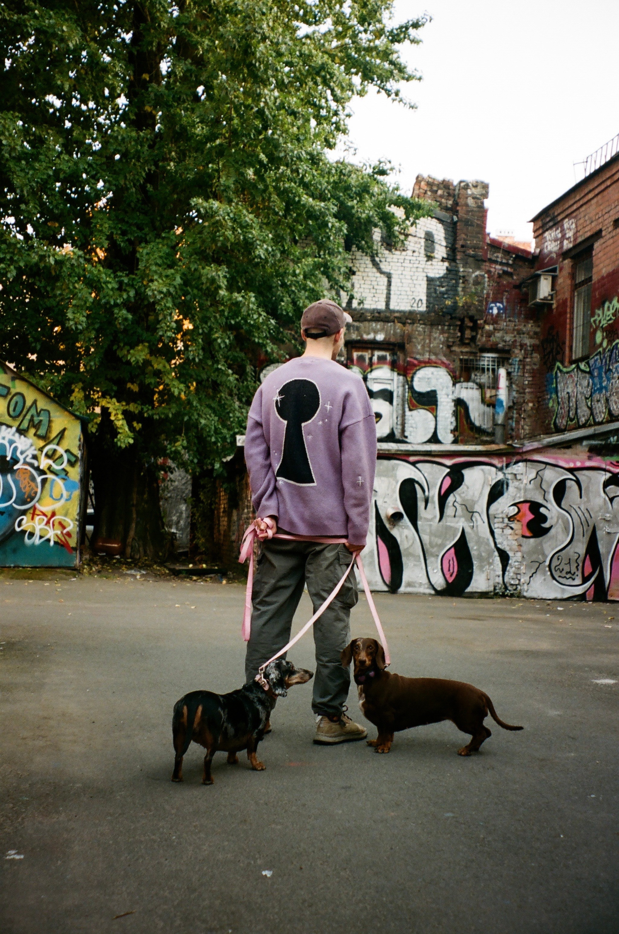 Всякие картинки