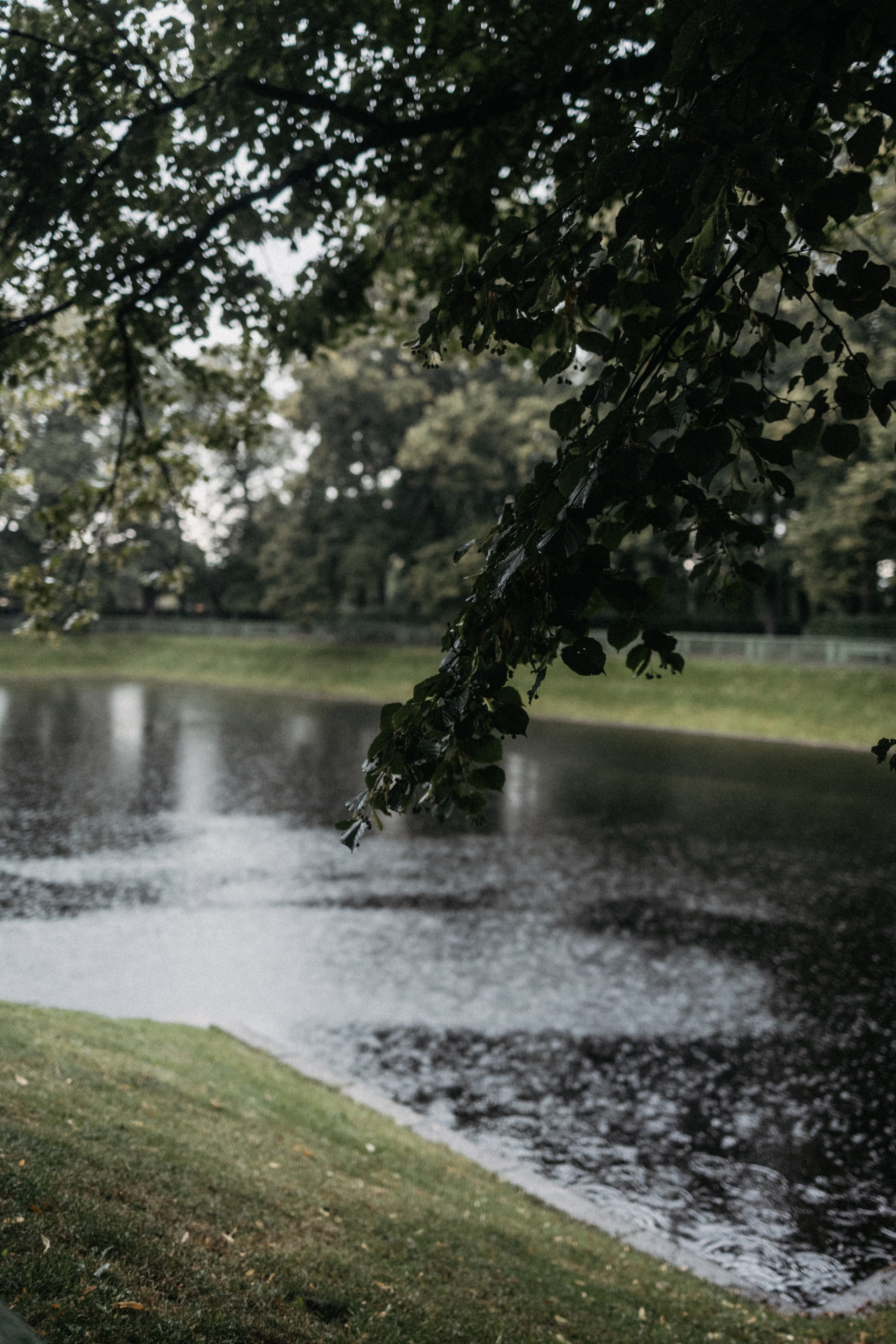Город дождей. Семейный фотограф в Белгороде