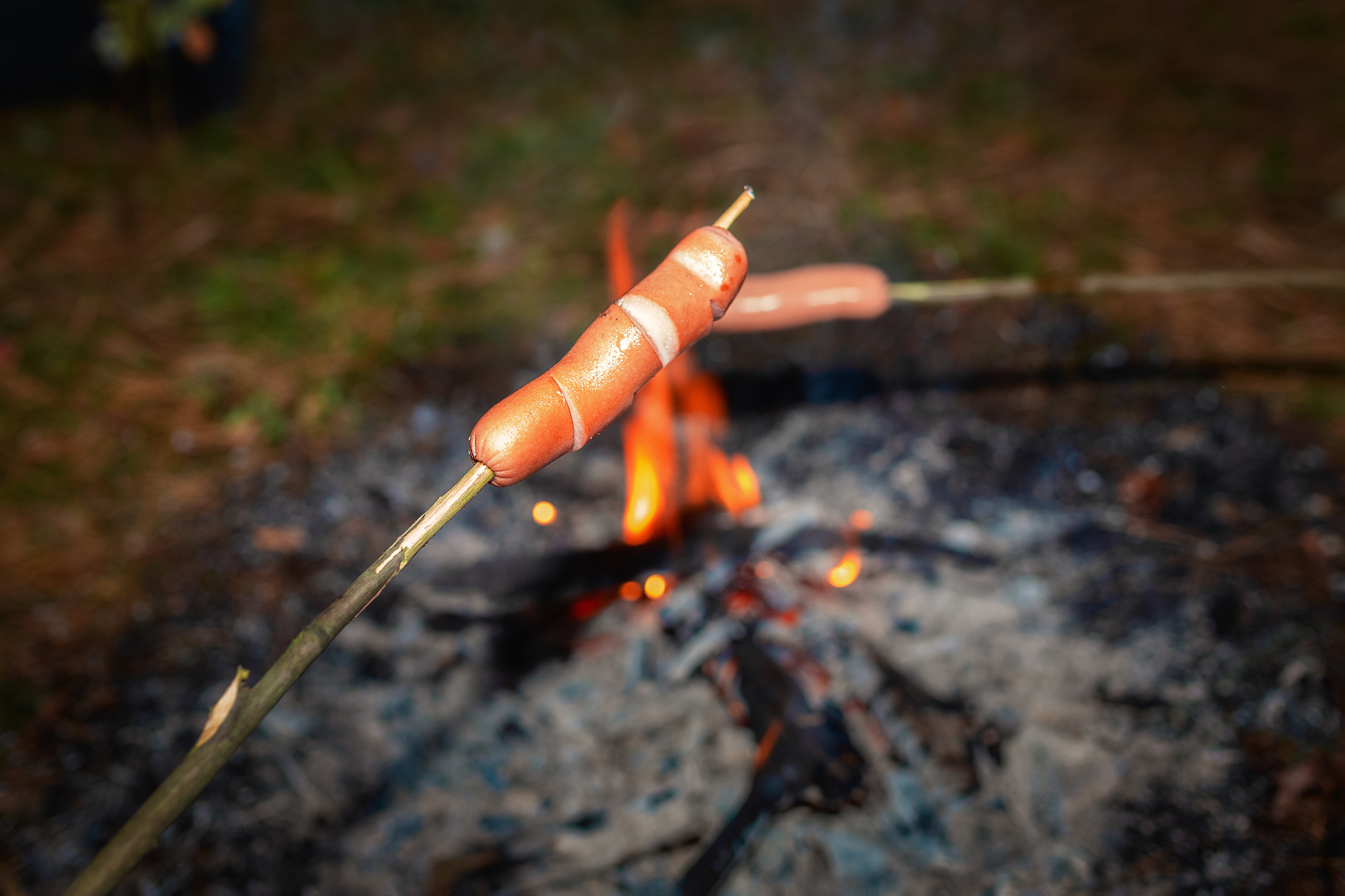Прогулка в лесу. Семейная и свадебный фотограф в Брянске Галина Медведкова