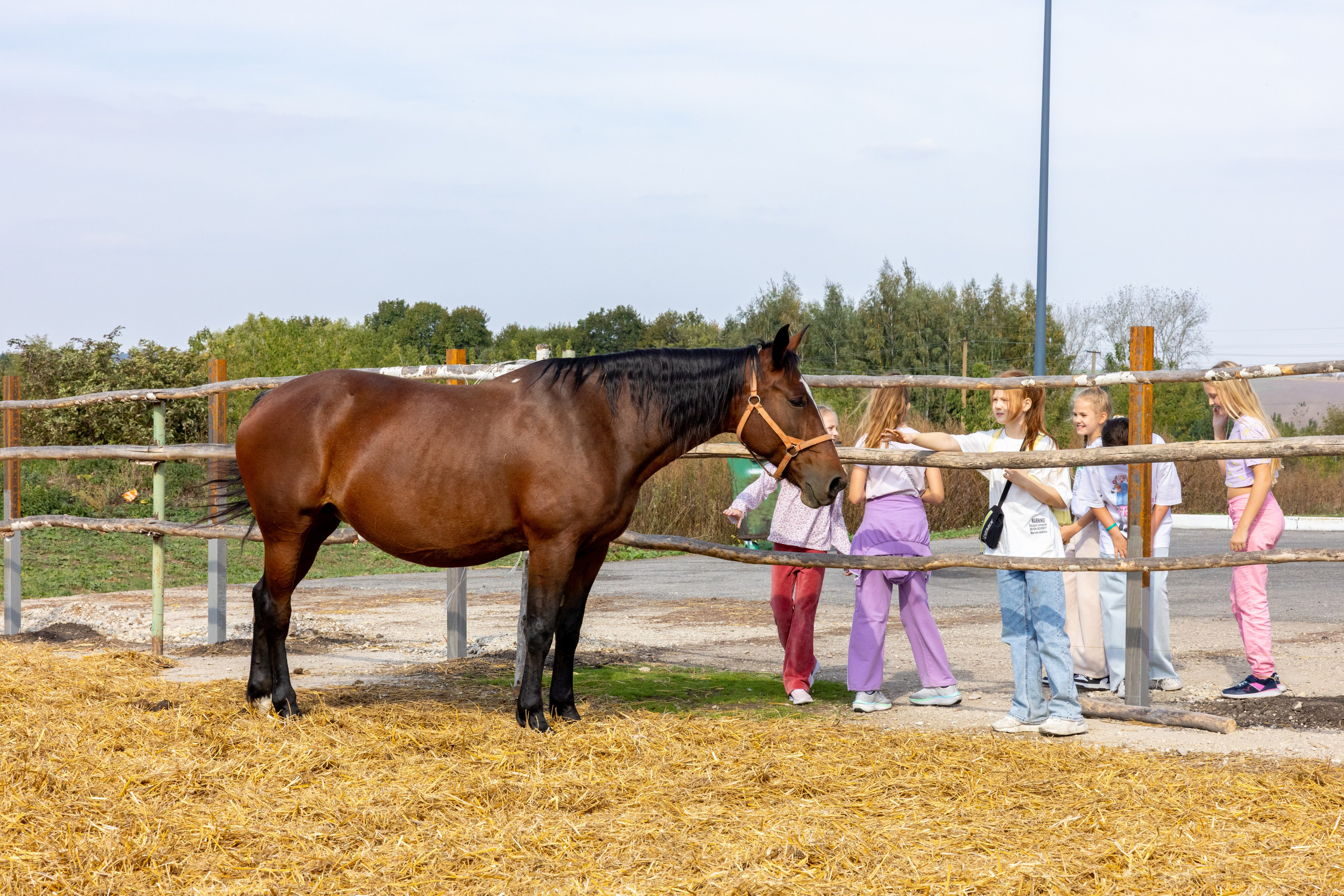 Поездка на поле Кулеково. Фотограф в Туле Крупский АнДРей. Фотостудия «КАДР71» в Туле