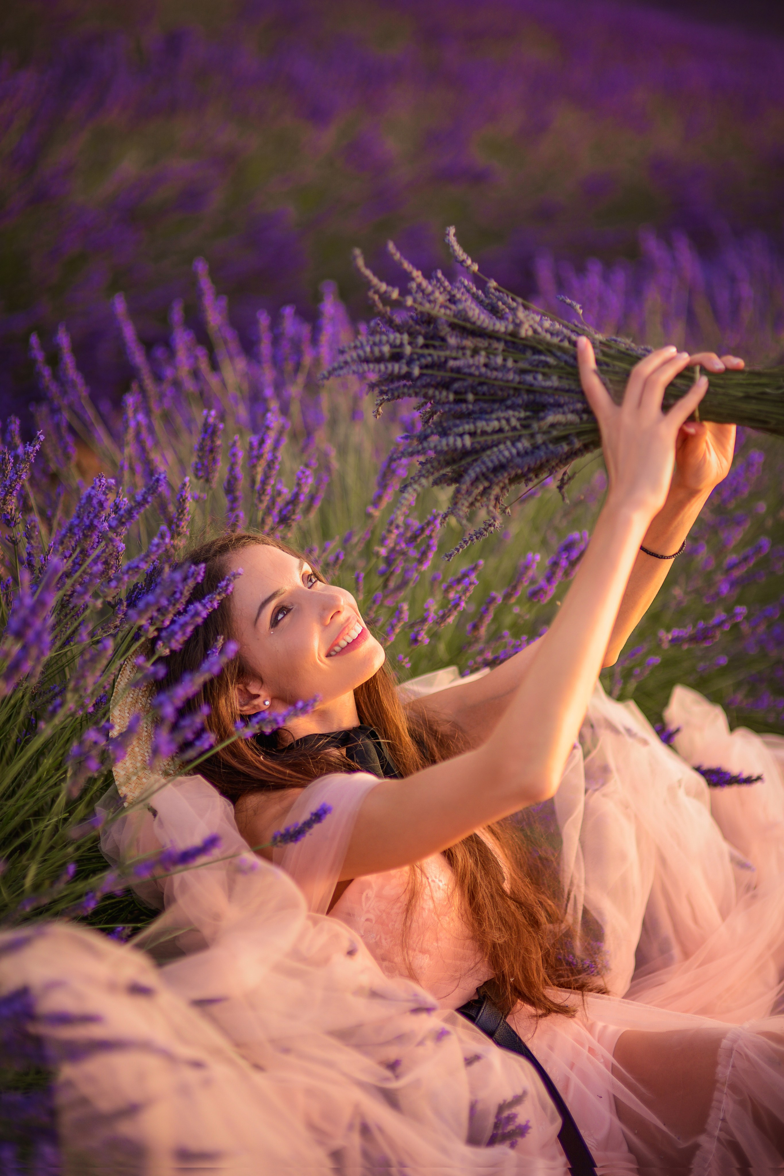 Lavender. Photographer in Provence Julia Lipiainen