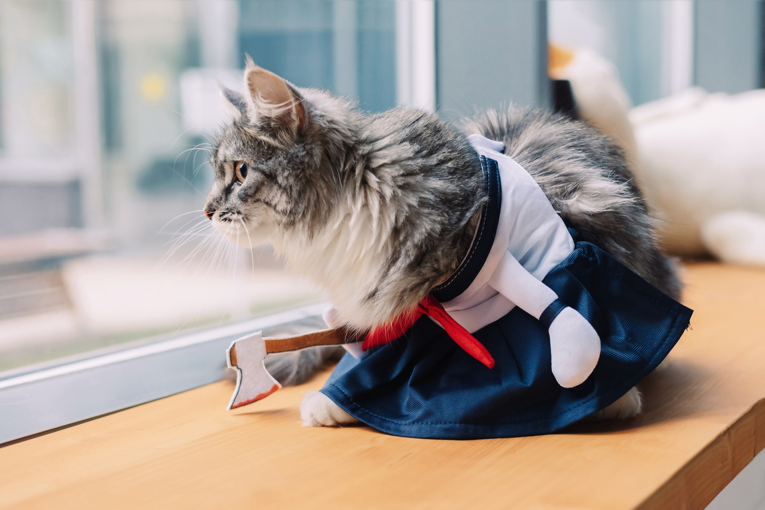 Магазин Friend of mine. Фотограф-анималист Елена Радченко, Москва