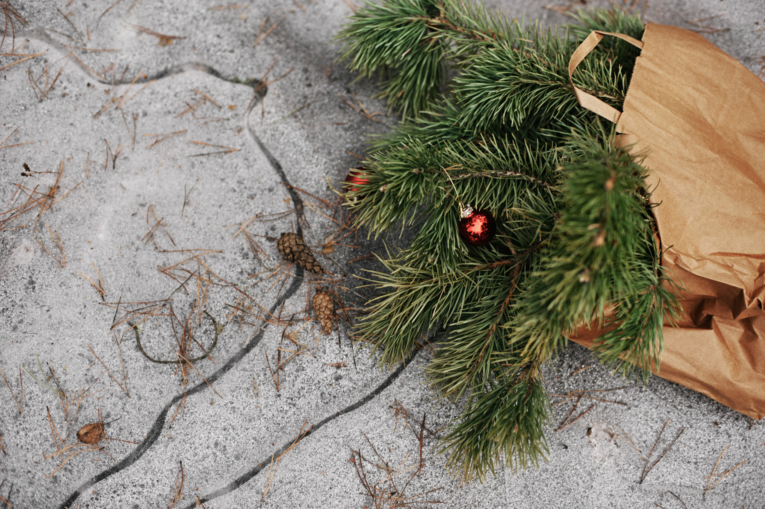 Рита. Портретный фотограф в Воронеже Вячеслав Буряк