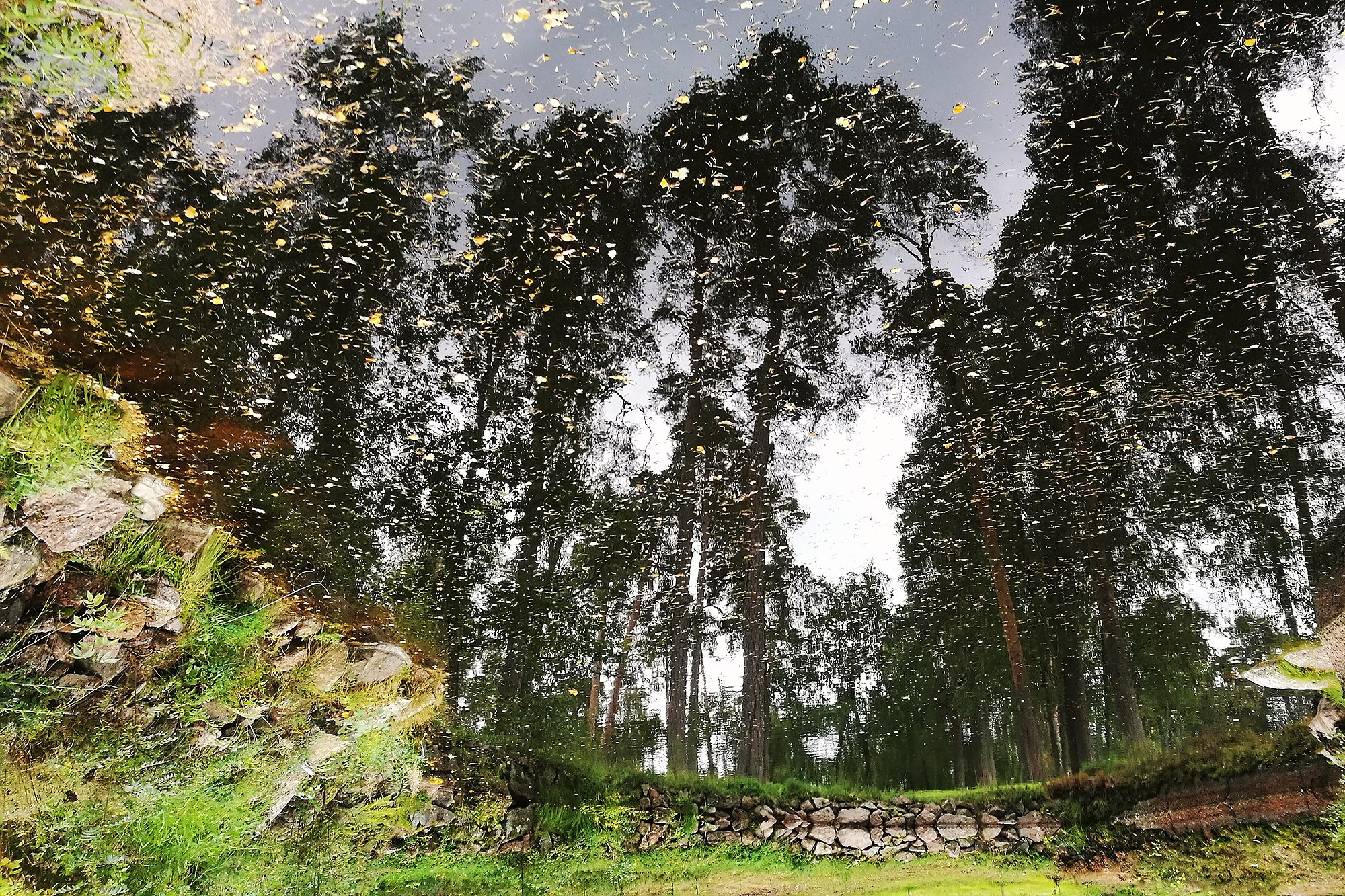 Улицы. Фотографии Марины Бурнашовой