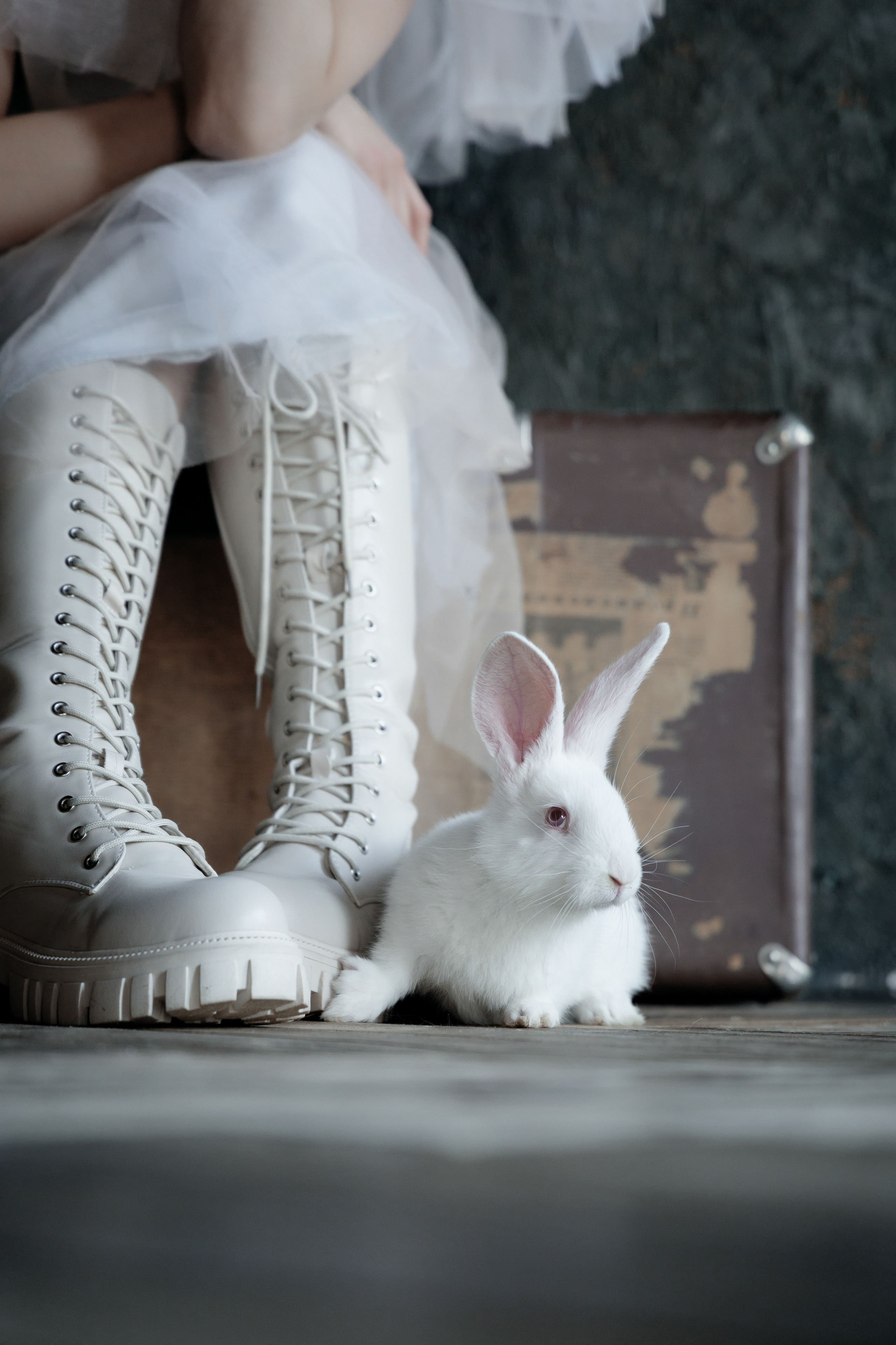 ALEKSANDRA BOIKOVA. Фотограф