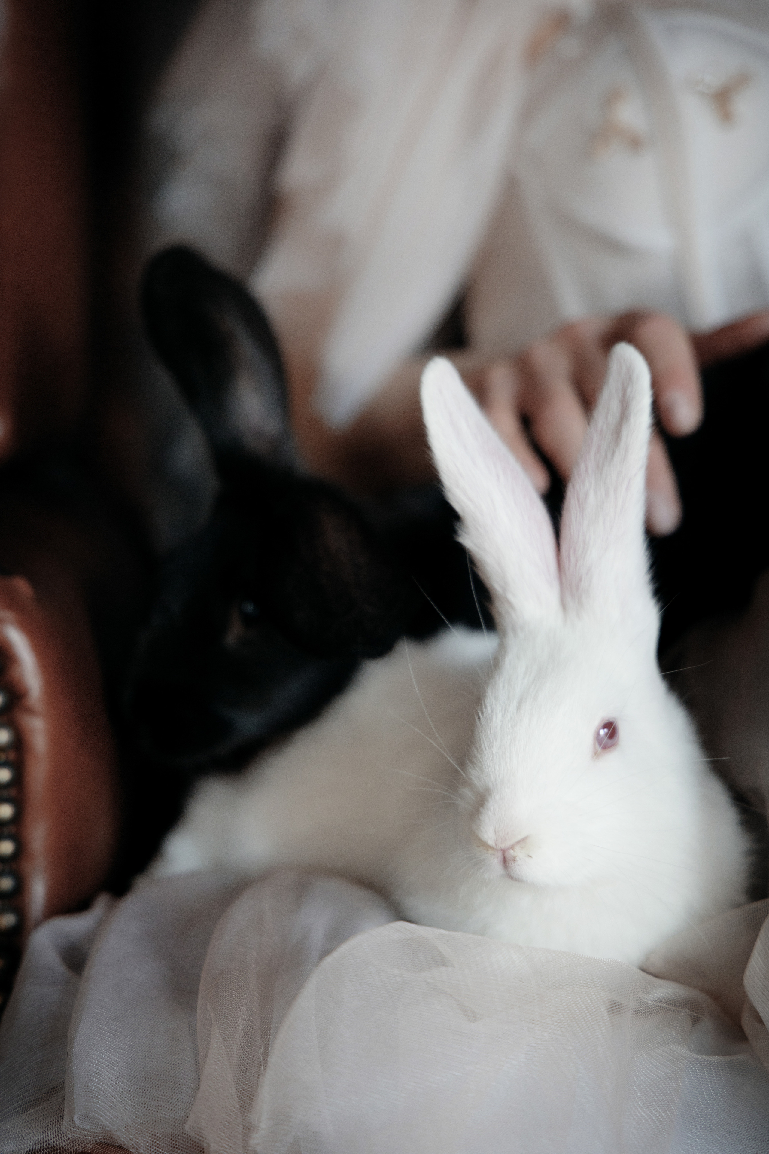 ALEKSANDRA BOIKOVA. Фотограф