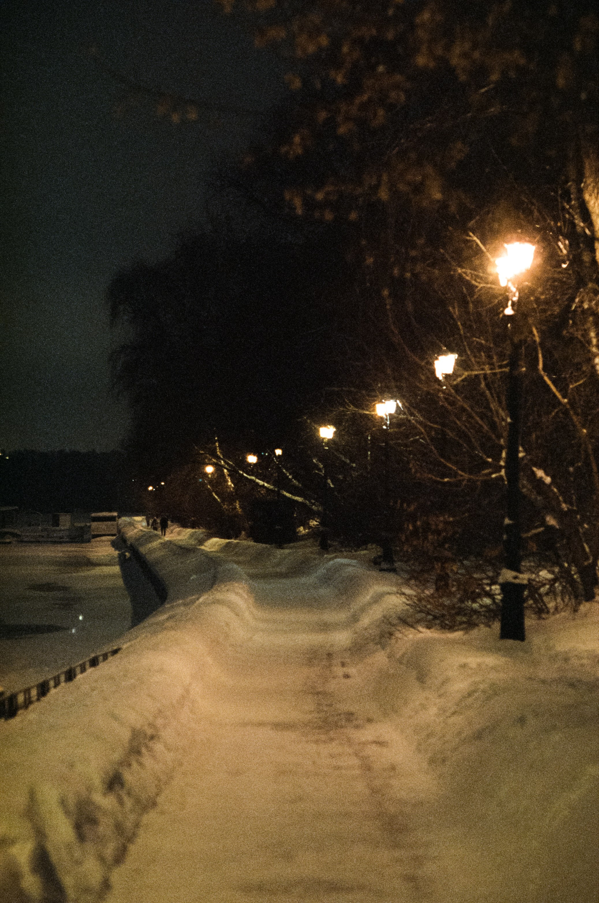 SFL 500T (Kodak Vision 3 500T) / Canon T80 / Canon FD 85 mm f1.2 L