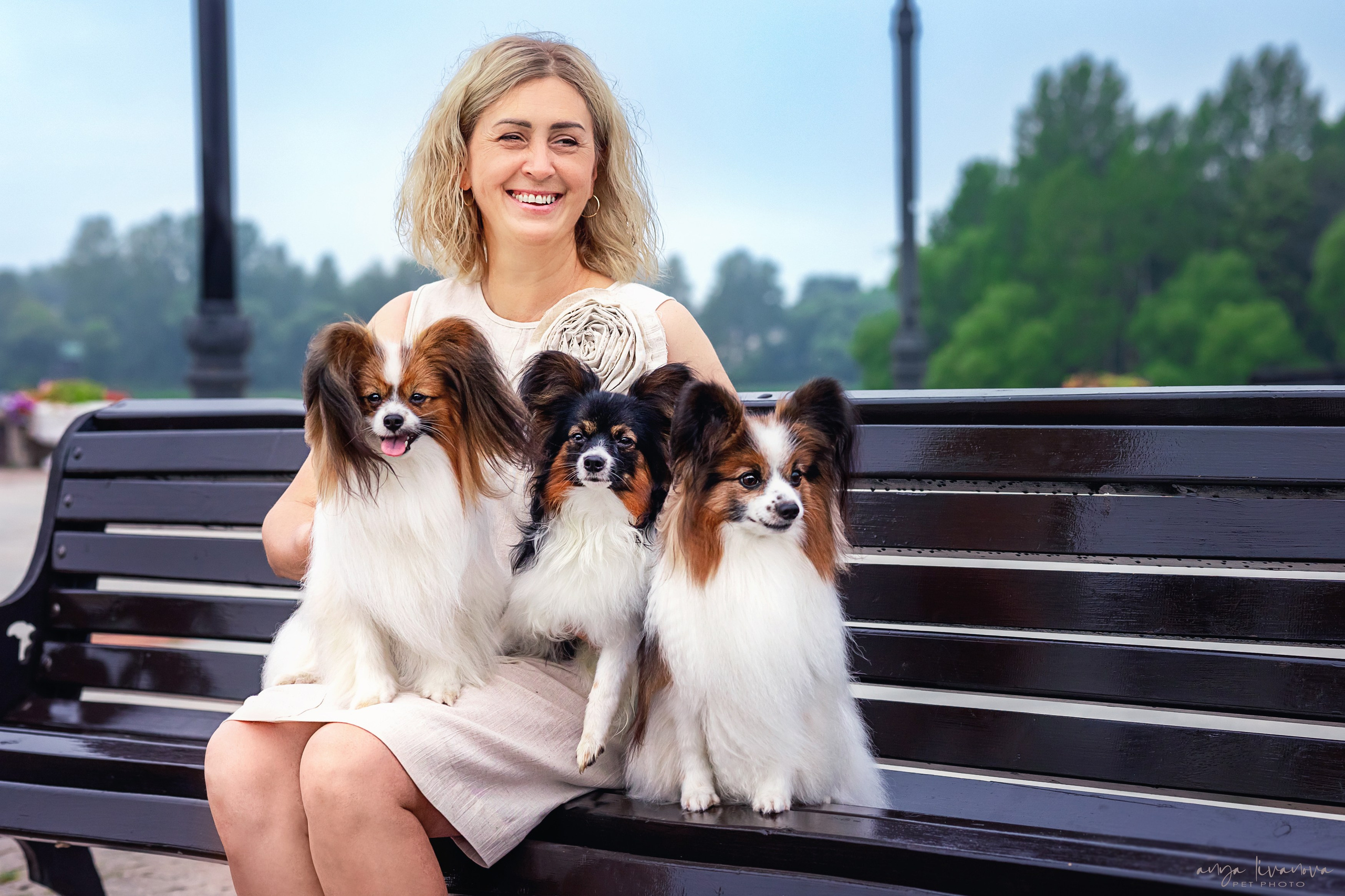 Елена и папийоны. Фотограф анималист Аня Ливанова | Рыбинск