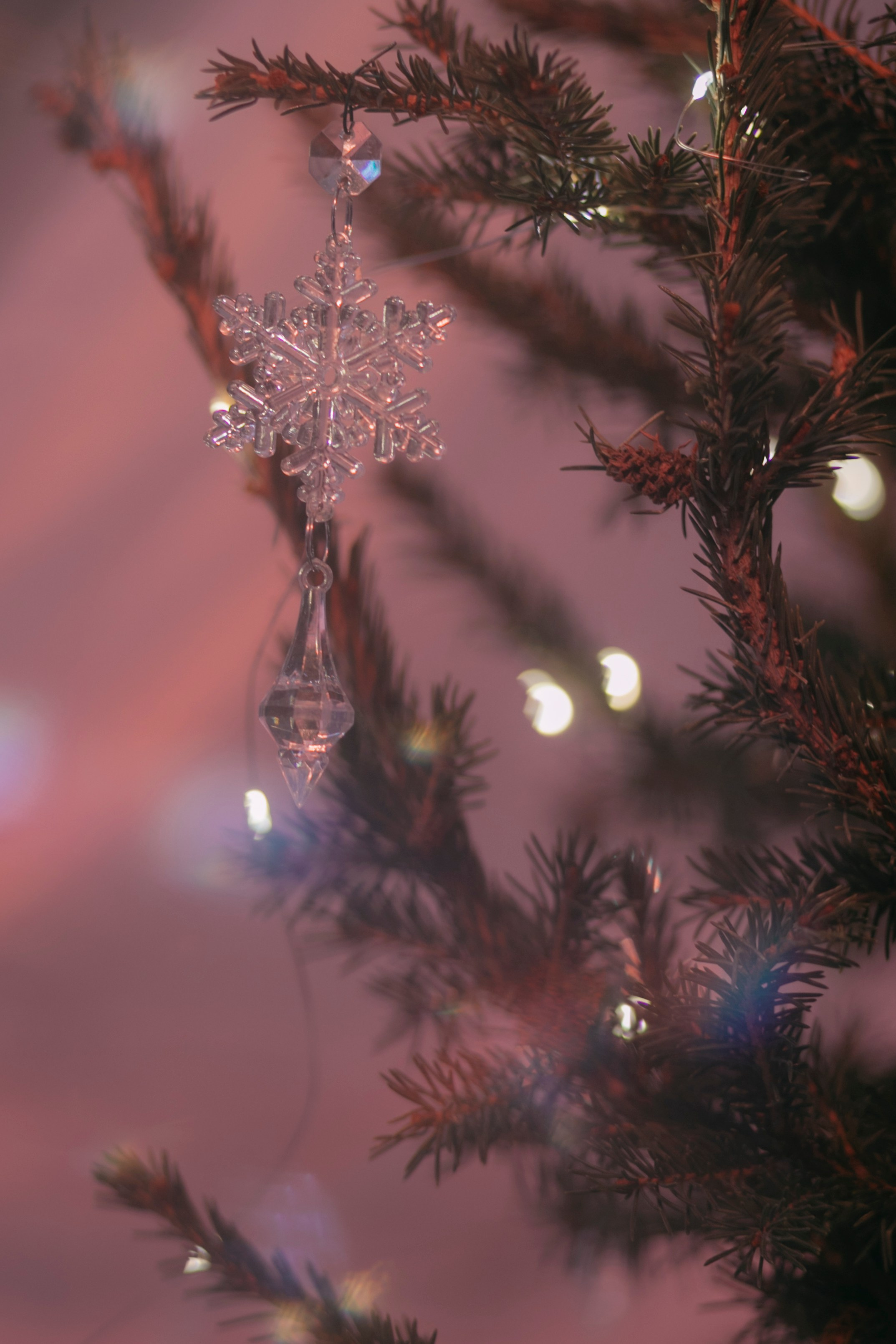 Ball. Фотограф Астафьева Мария