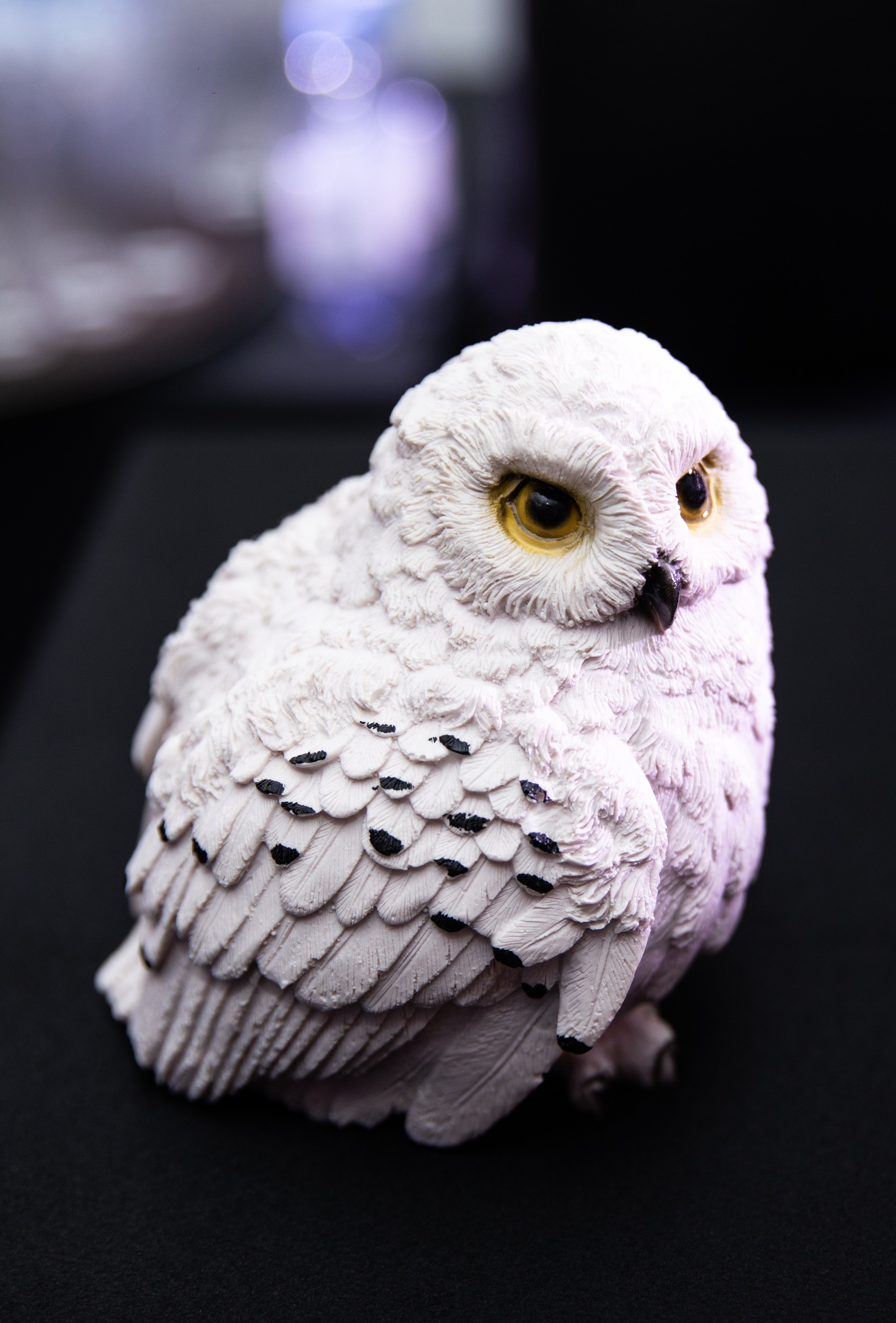 Что? Где? Когда? — Вторая игра г. Челябинск. Репортажный и свадебный фотограф в Челябинске Елисеев Павел