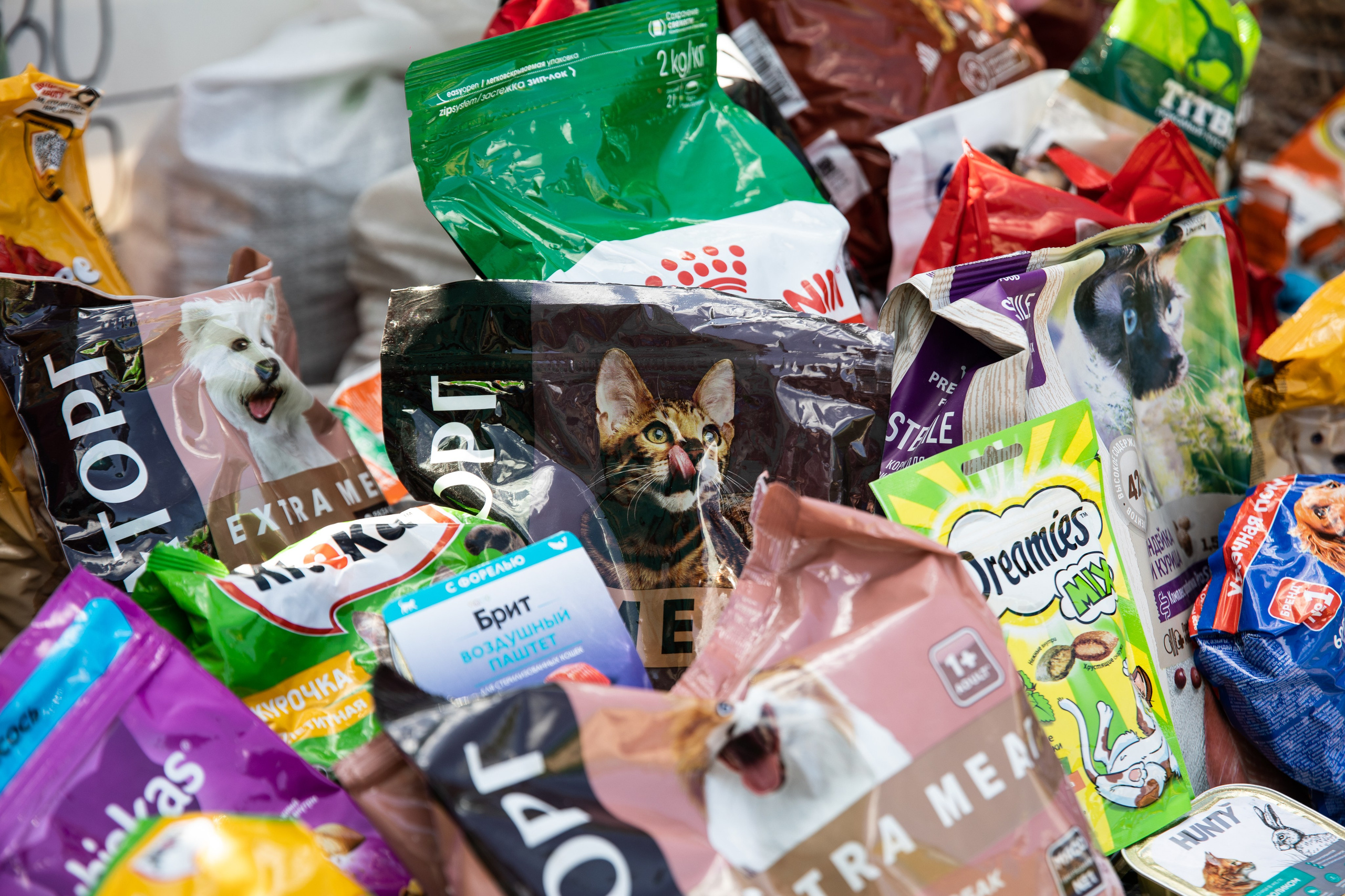 Приют — Наш дом. Репортажный и свадебный фотограф в Челябинске Елисеев Павел