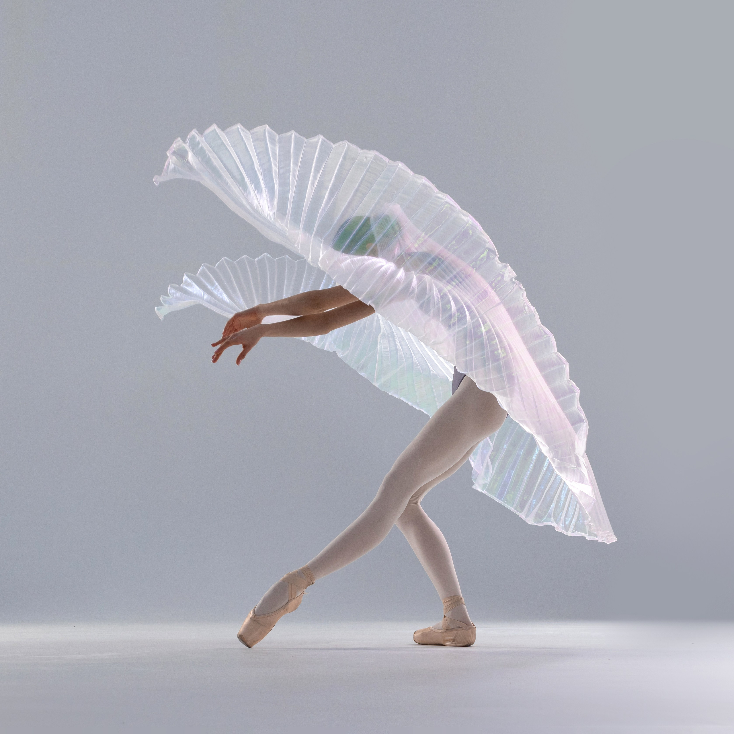 Крылья перламутровые напрокат бесплатно. Балетный фотограф Алина Ханько — Душа Балета