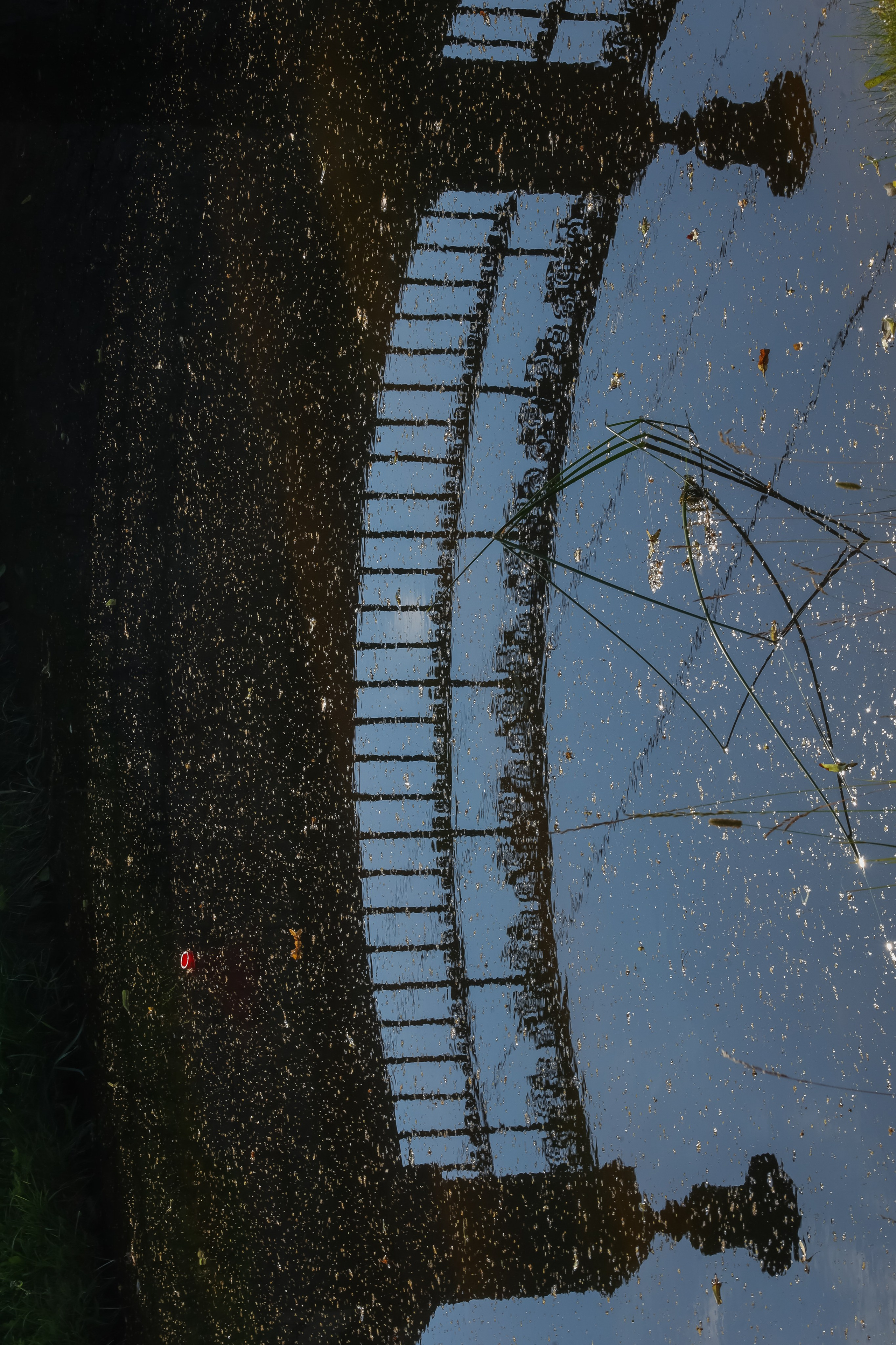 Пространства &. Фотохудожник в СПб