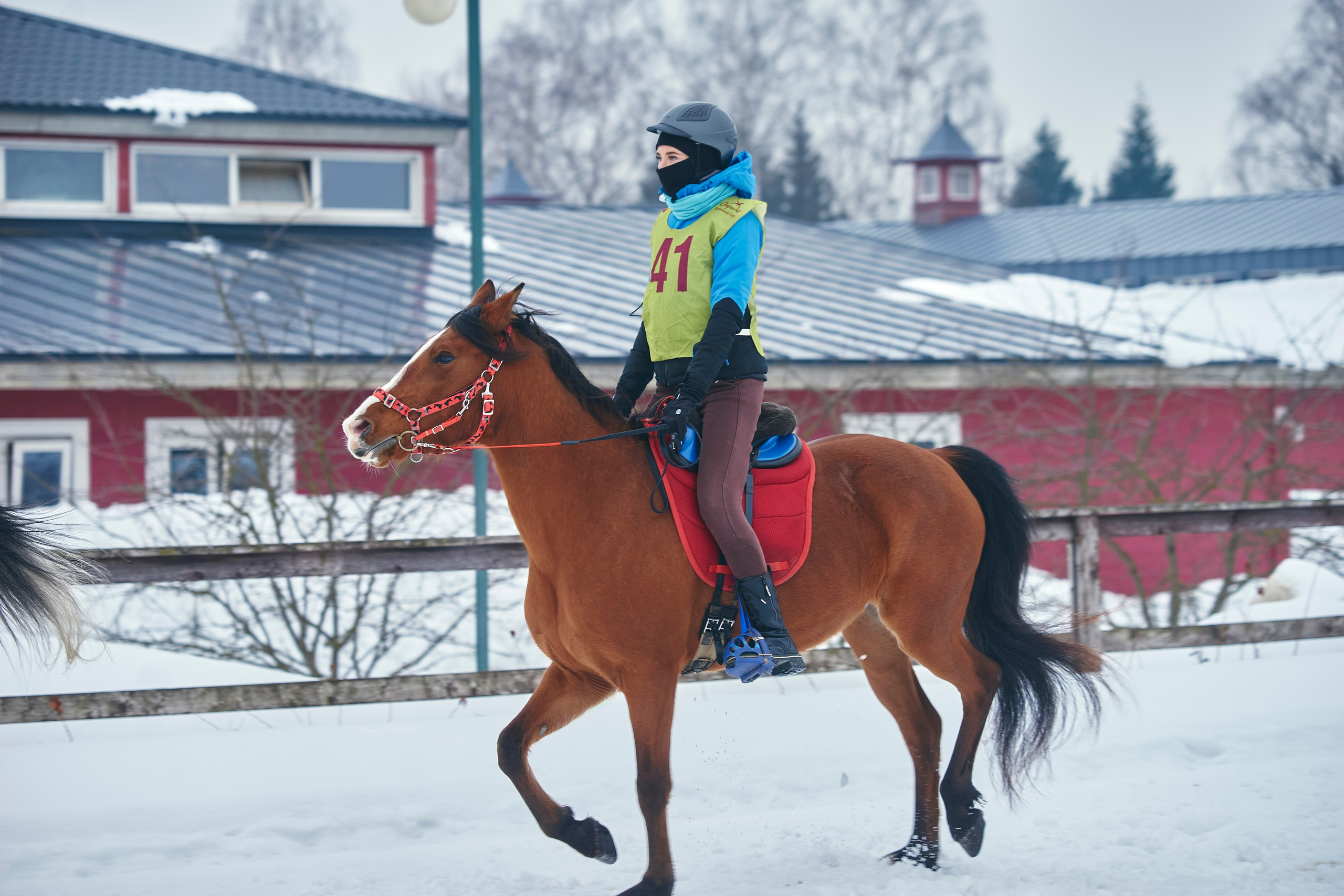 HORSE RACING. Фотограф Наталья Леонова
