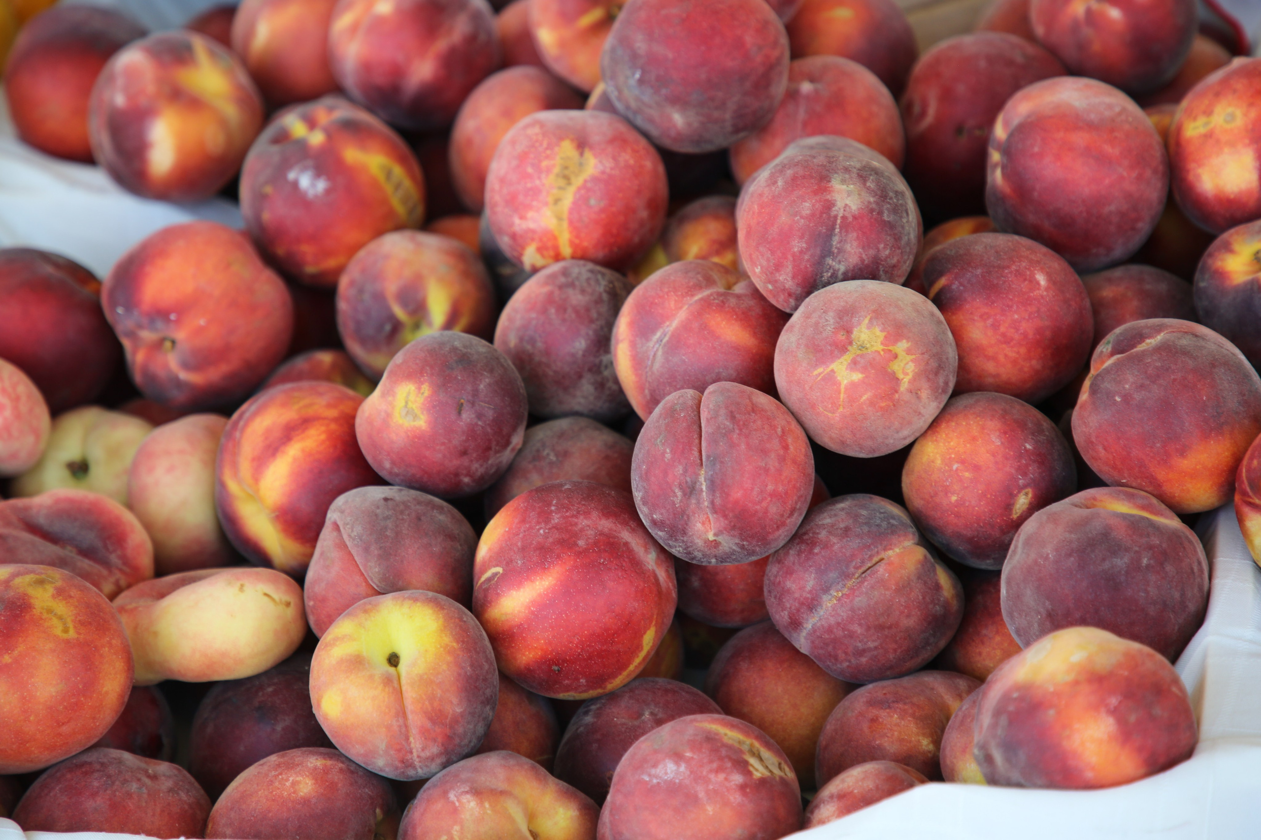 Espihnio, Portugal. Andrey Filippov Photographer