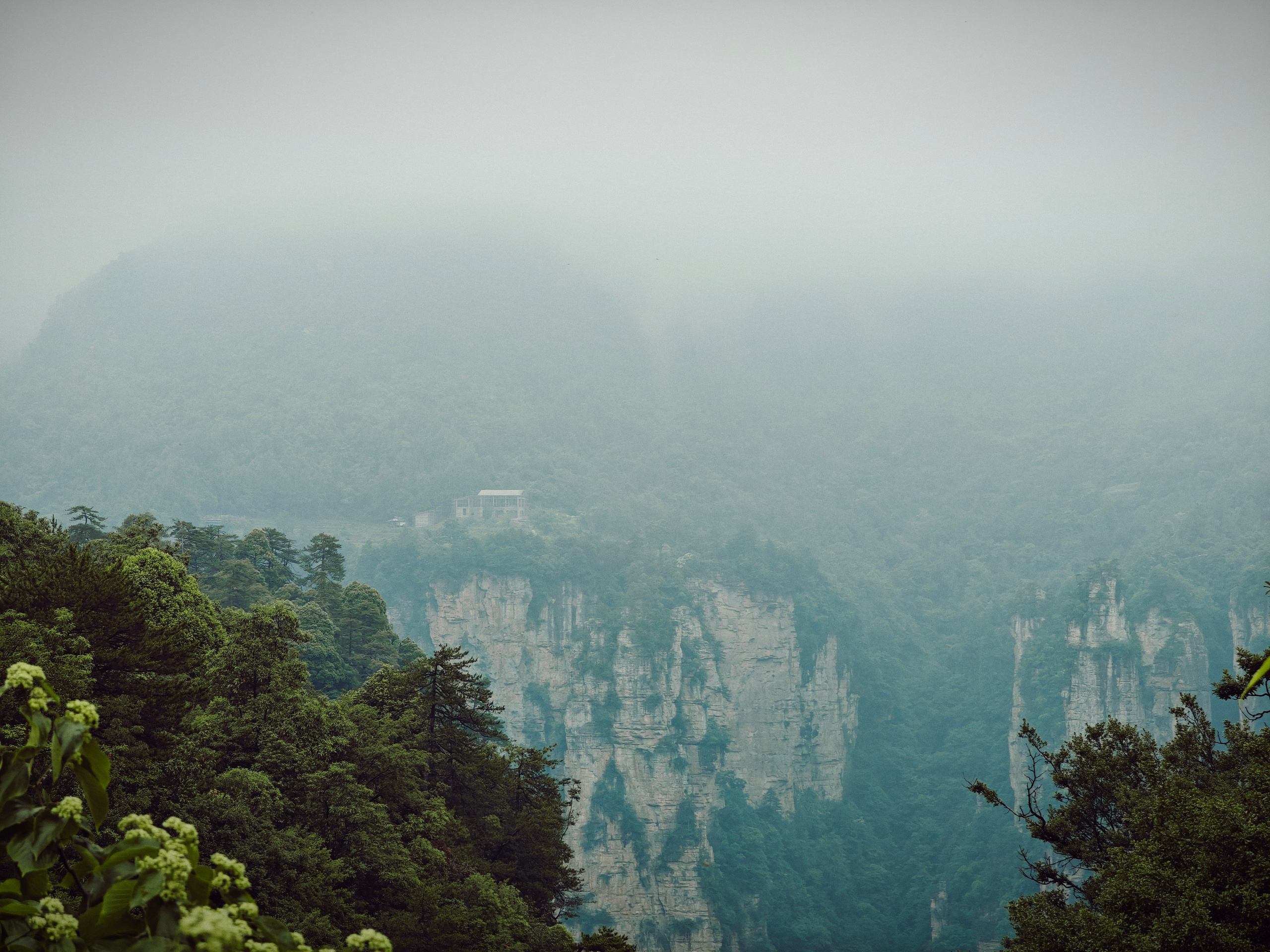 The Great Journey to China. Brjankin.com