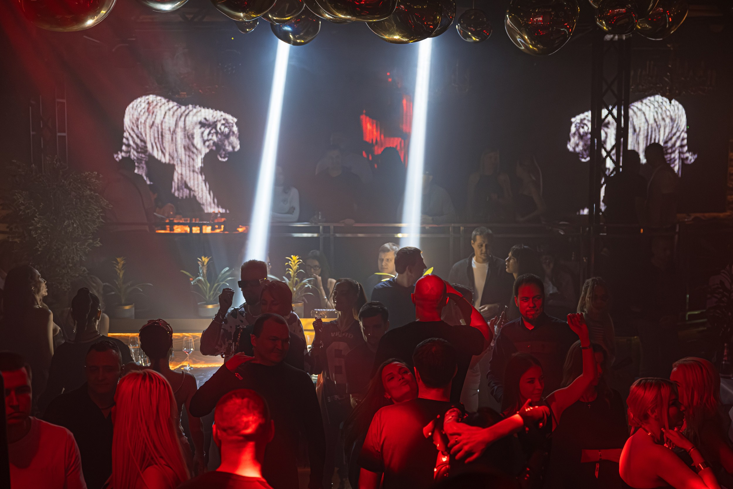 Circus 64. Репортажный и свадебный фотограф в Краснодаре Владислав Рыжов