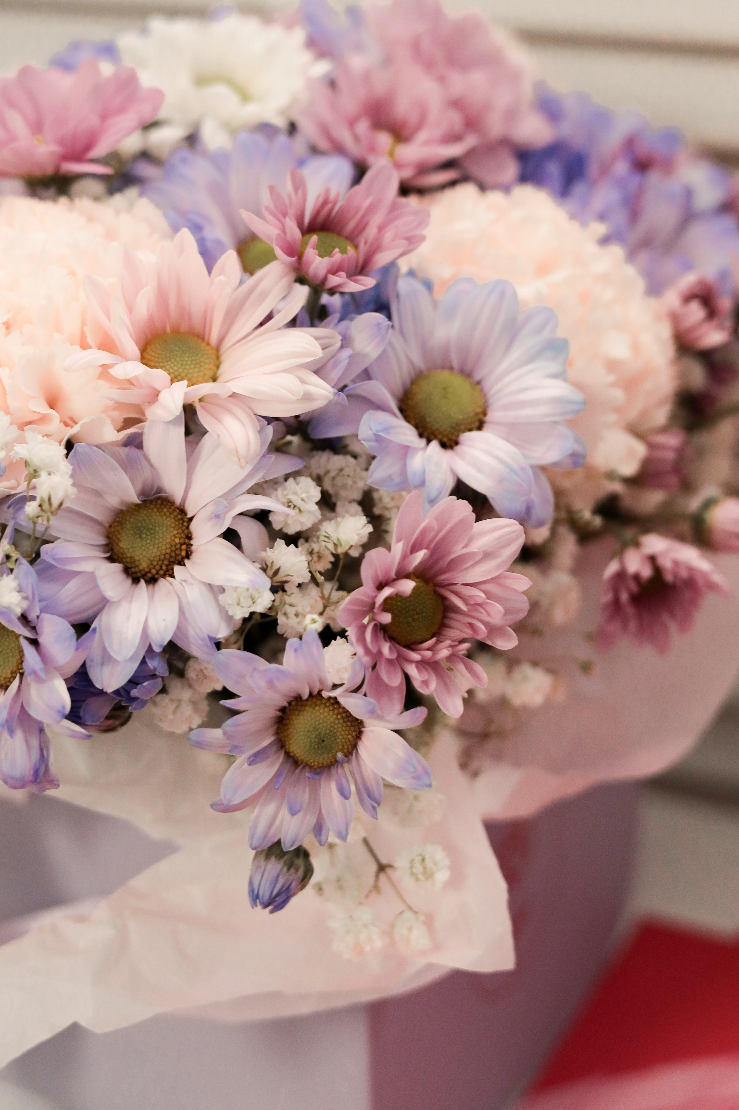 Детская аэройога. Фотограф Надршина Лилия