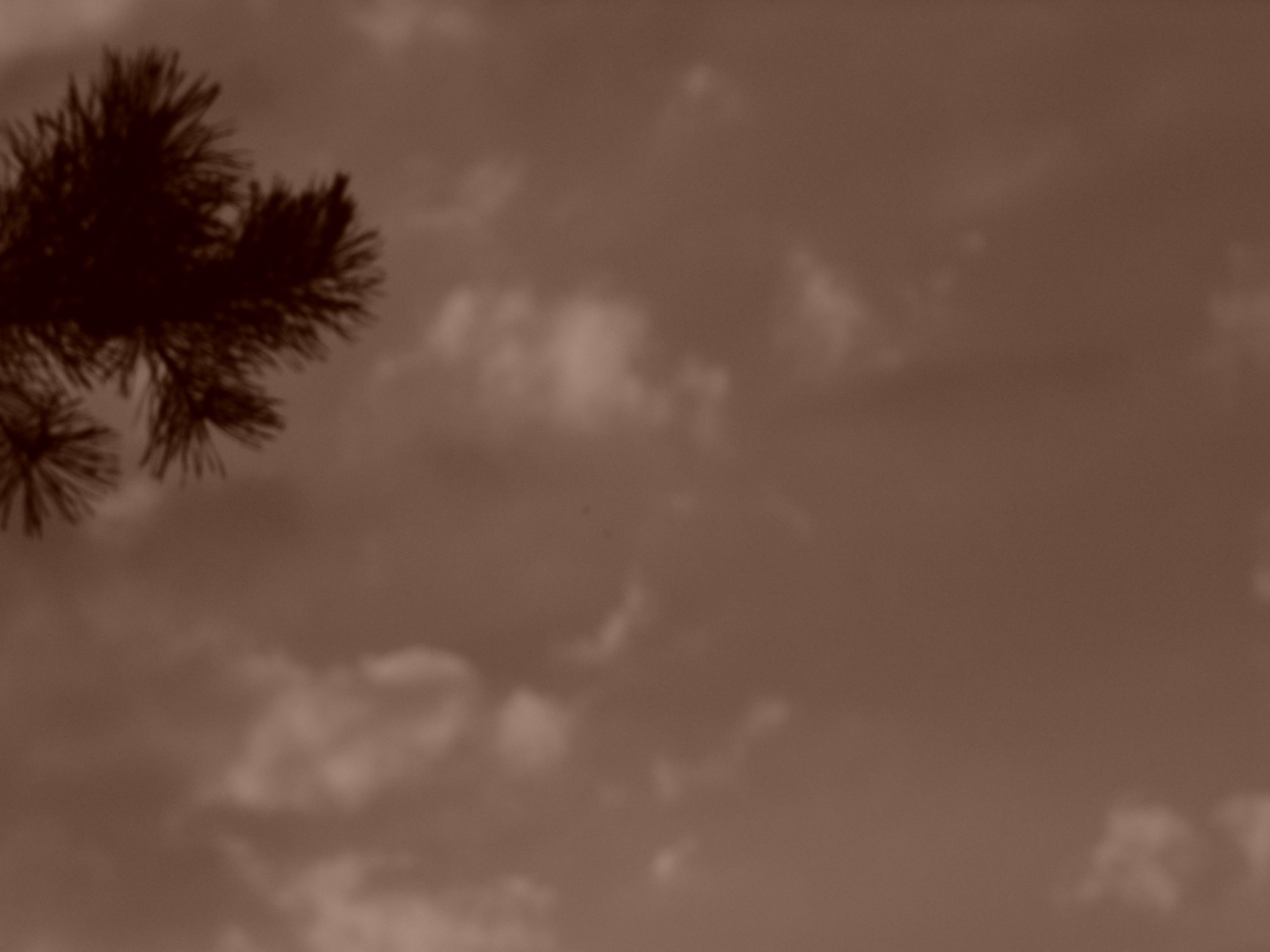 Приезд КС 2005. Заставка