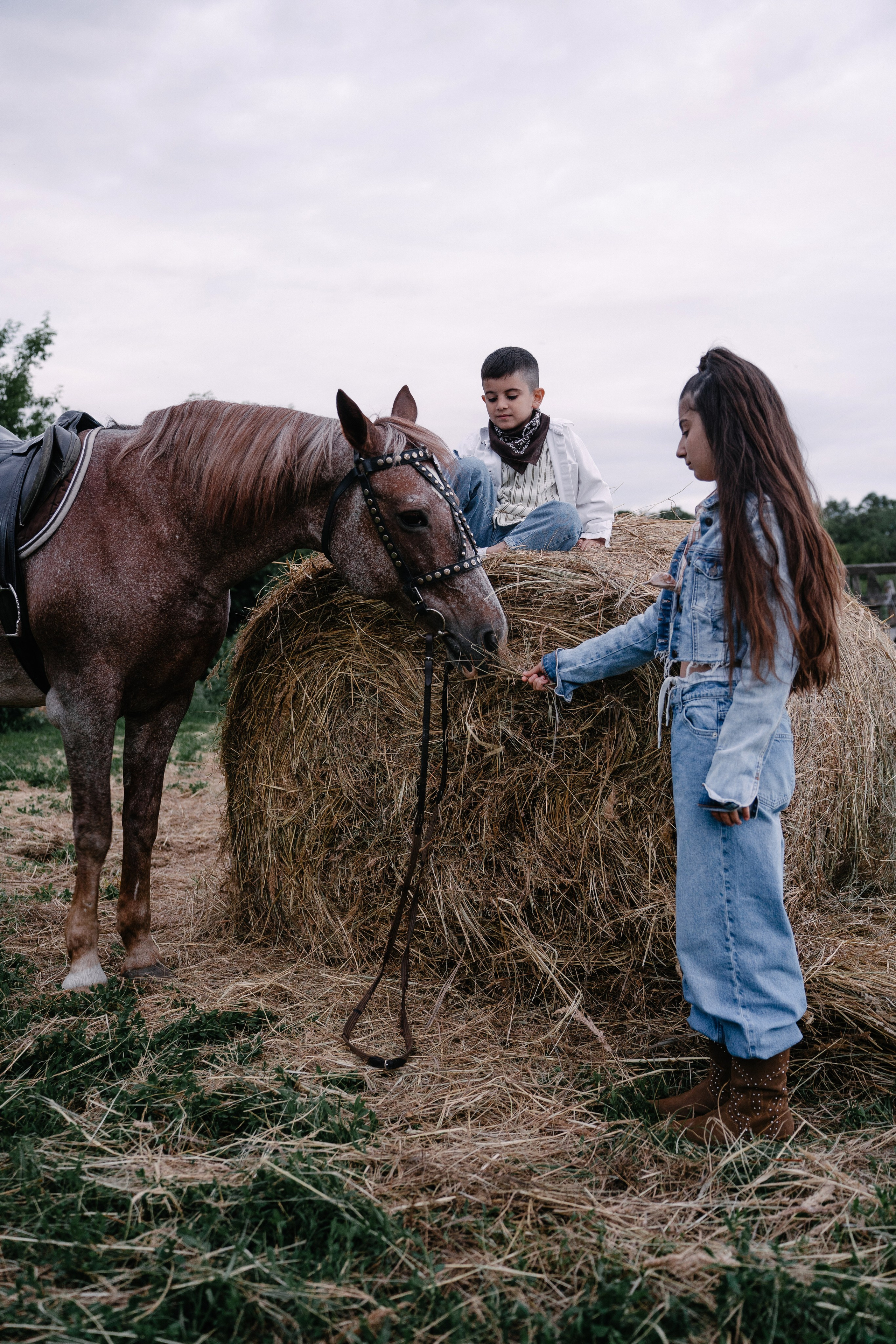 Элиза, Элина, Роберт. Свадебный и семейный фотограф в Воронеже Анастасия Бойко