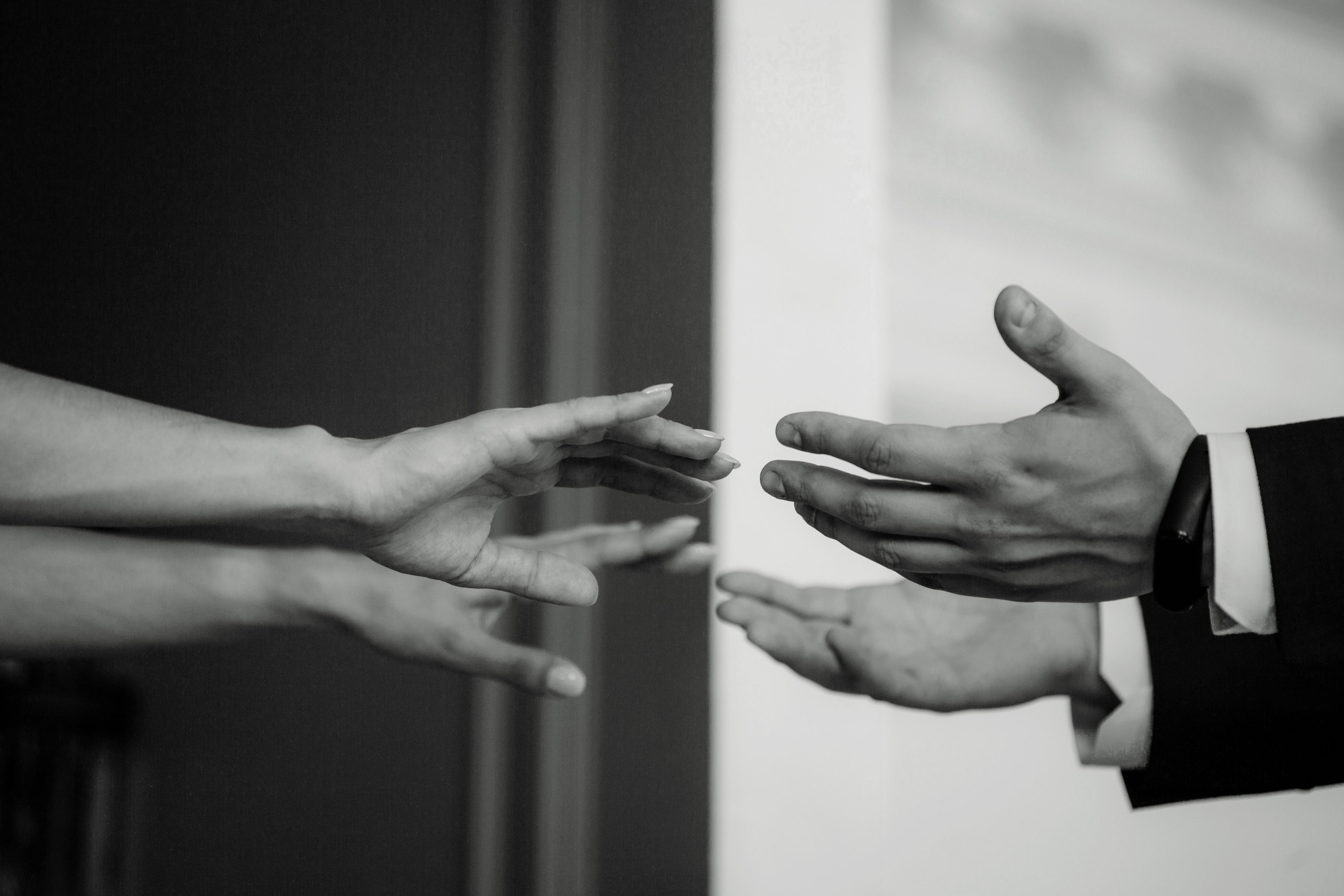 Сборы. Nuta ART - photo-video creator