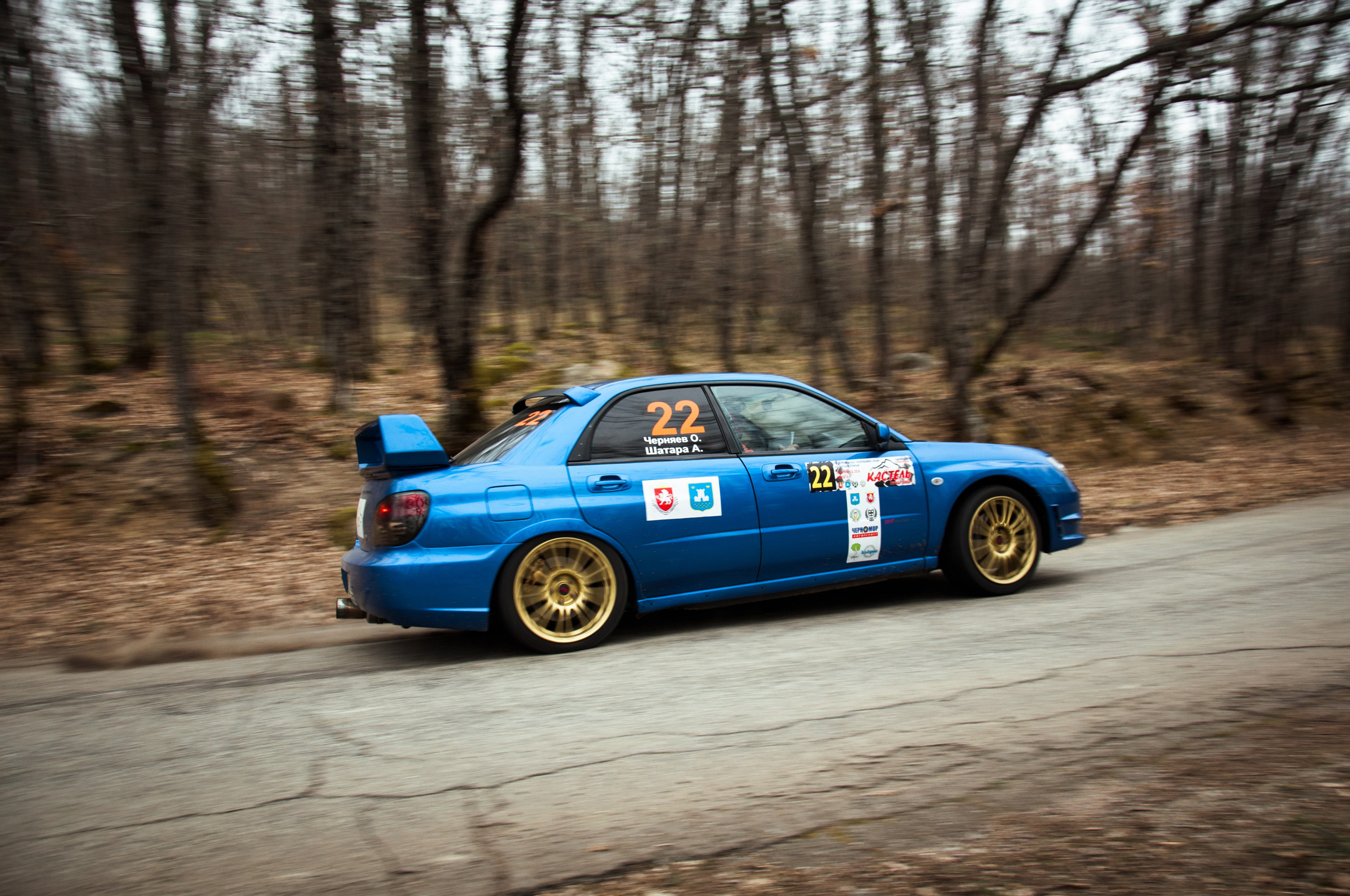 Кастель-2026. Репортажный фотограф в Симферополе Зареев Иван